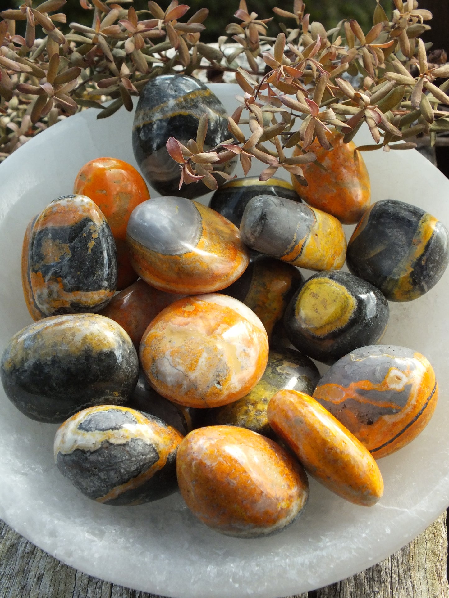 Bumblebee Jasper Tumble Stone