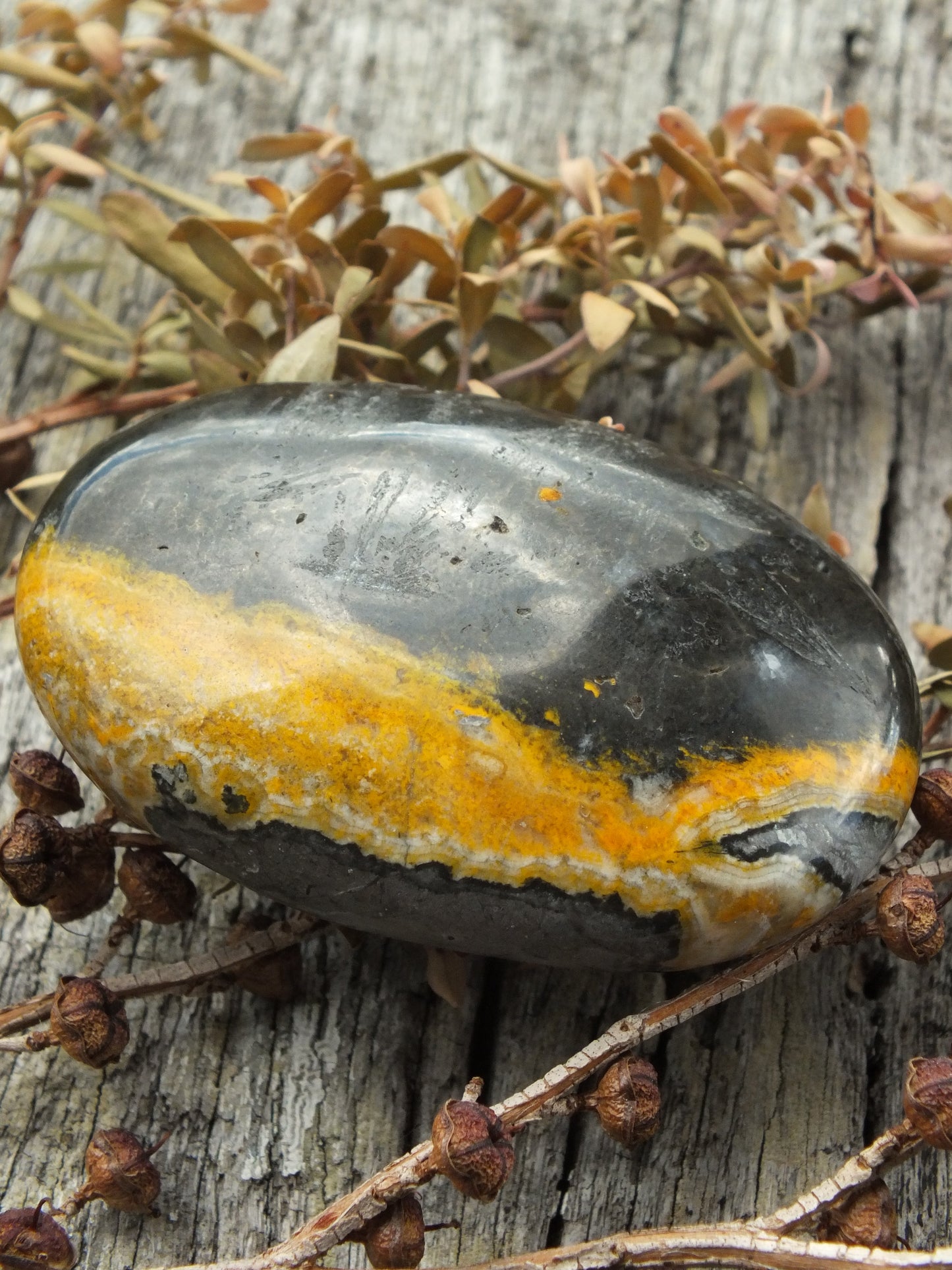 Bumblebee Jasper Palm Stone