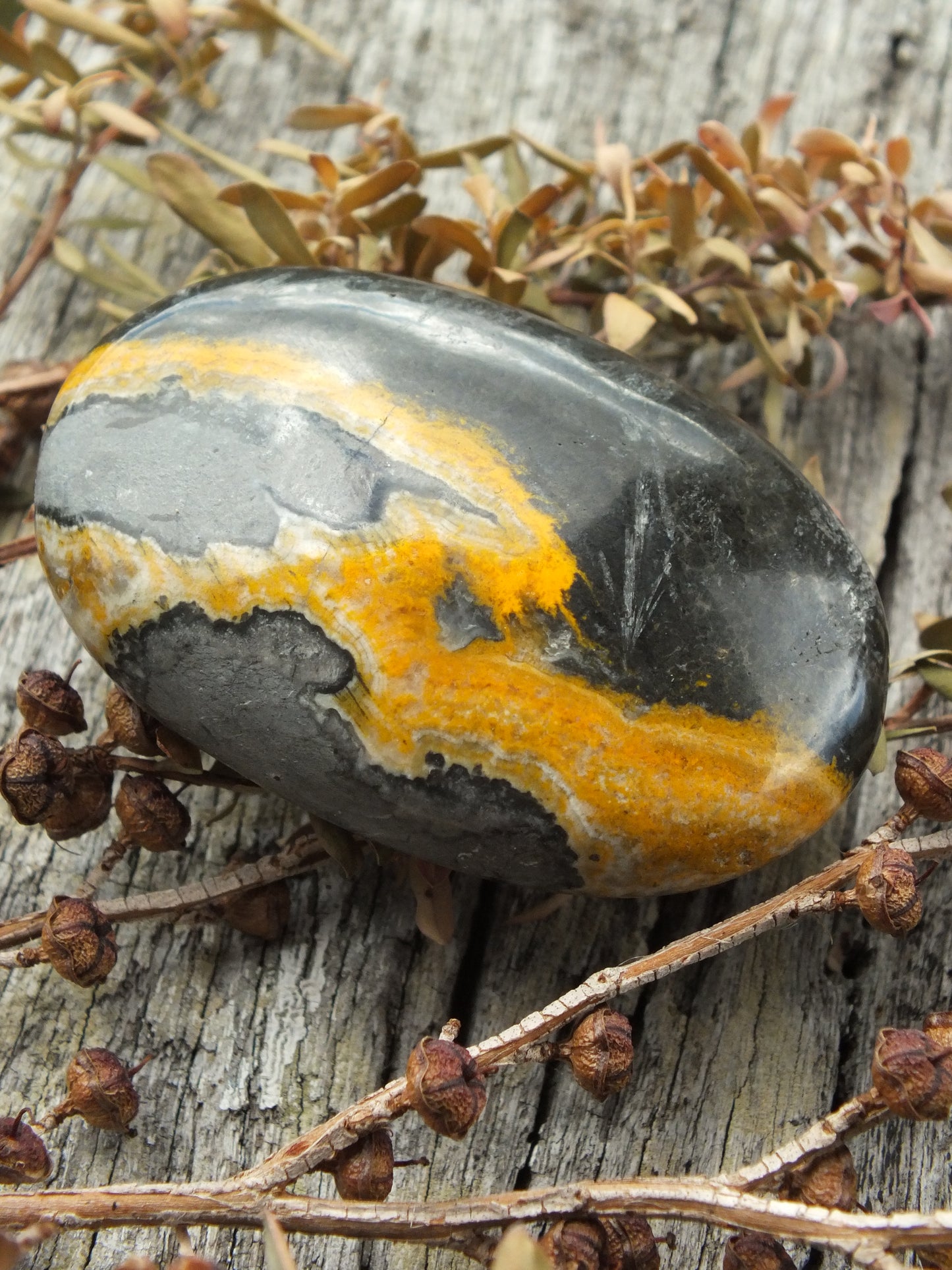 Bumblebee Jasper Palm Stone