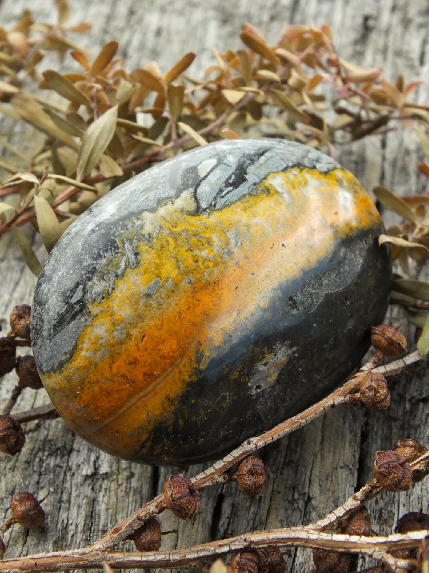 Bumblebee Jasper Palm Stone