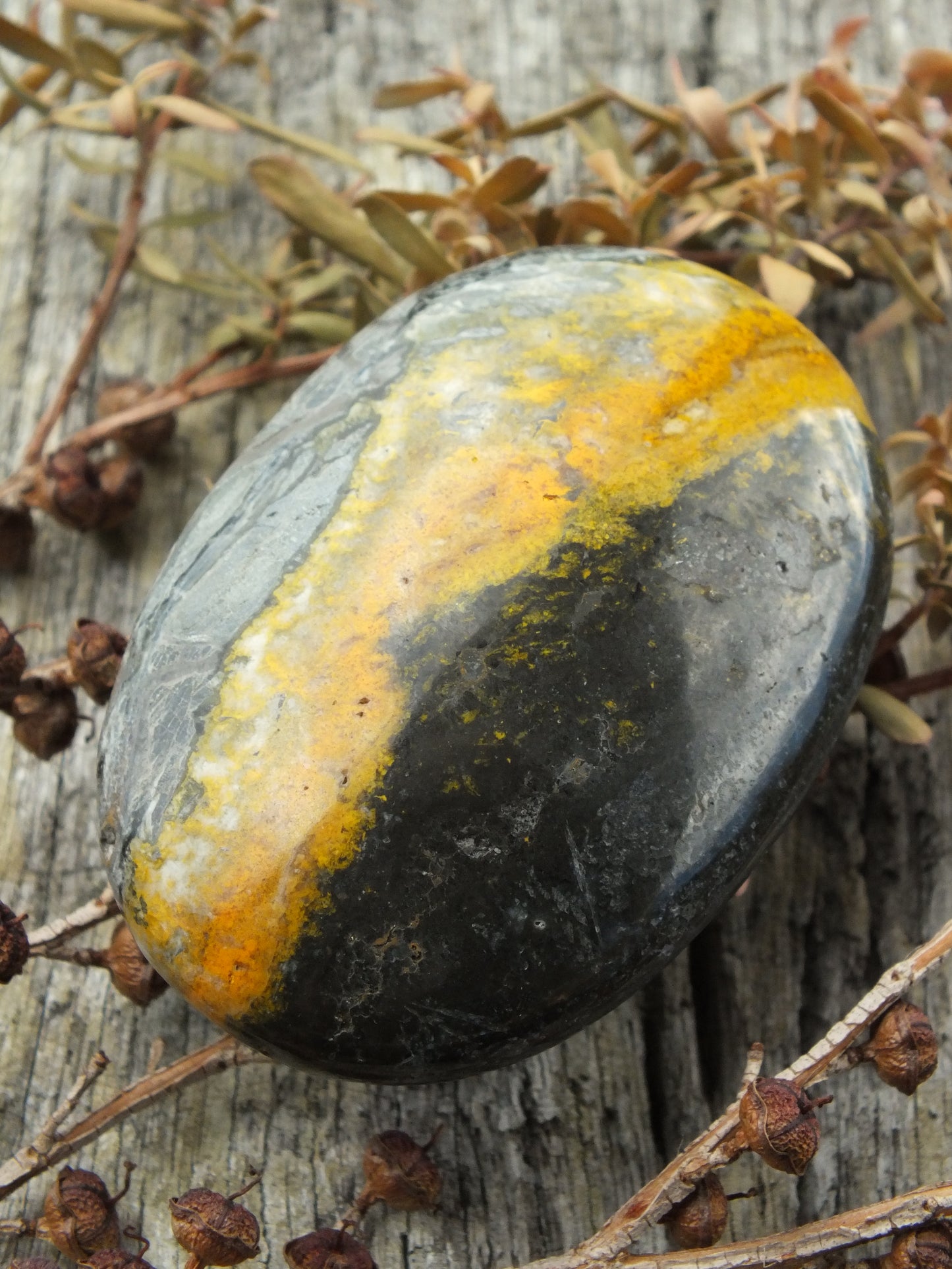 Bumblebee Jasper Palm Stone
