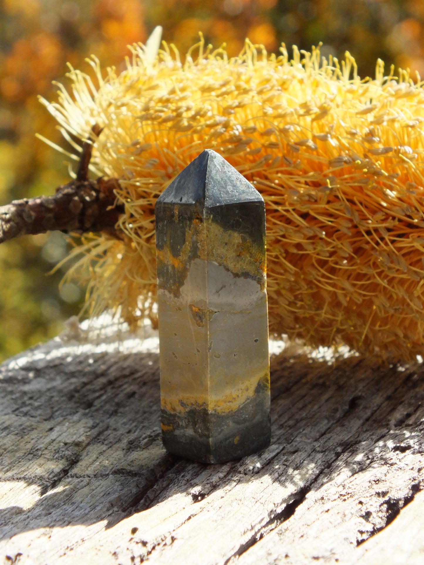 Bumblebee Jasper Mini Point