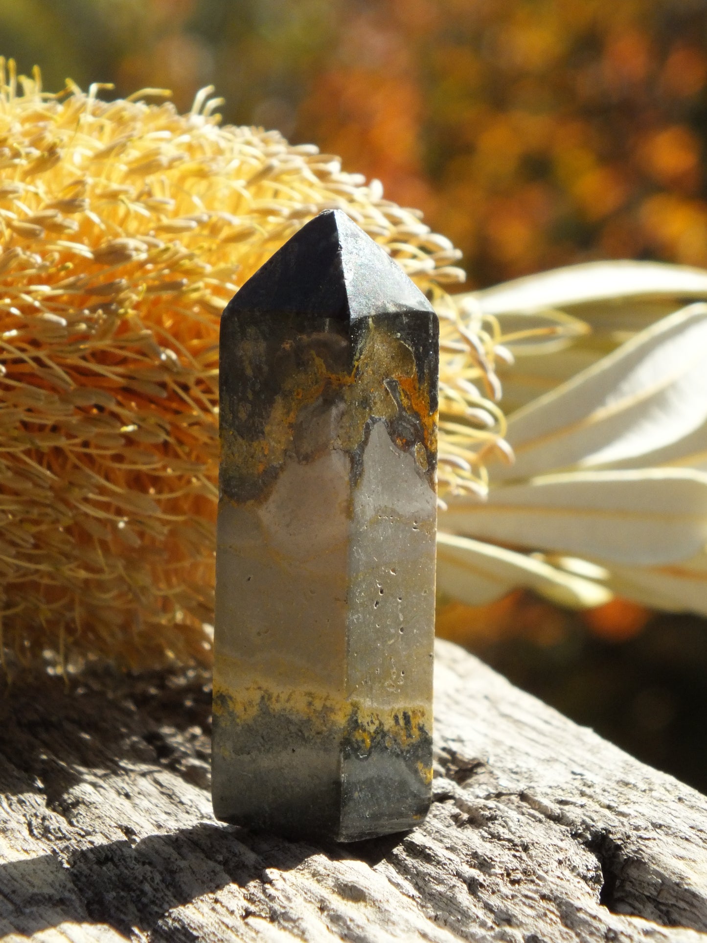 Bumblebee Jasper Mini Point