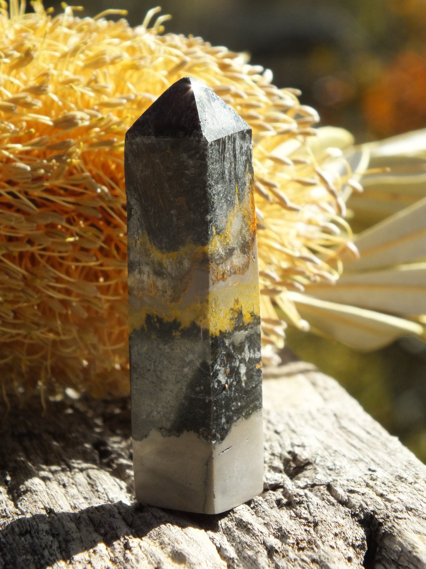 Bumblebee Jasper Mini Point