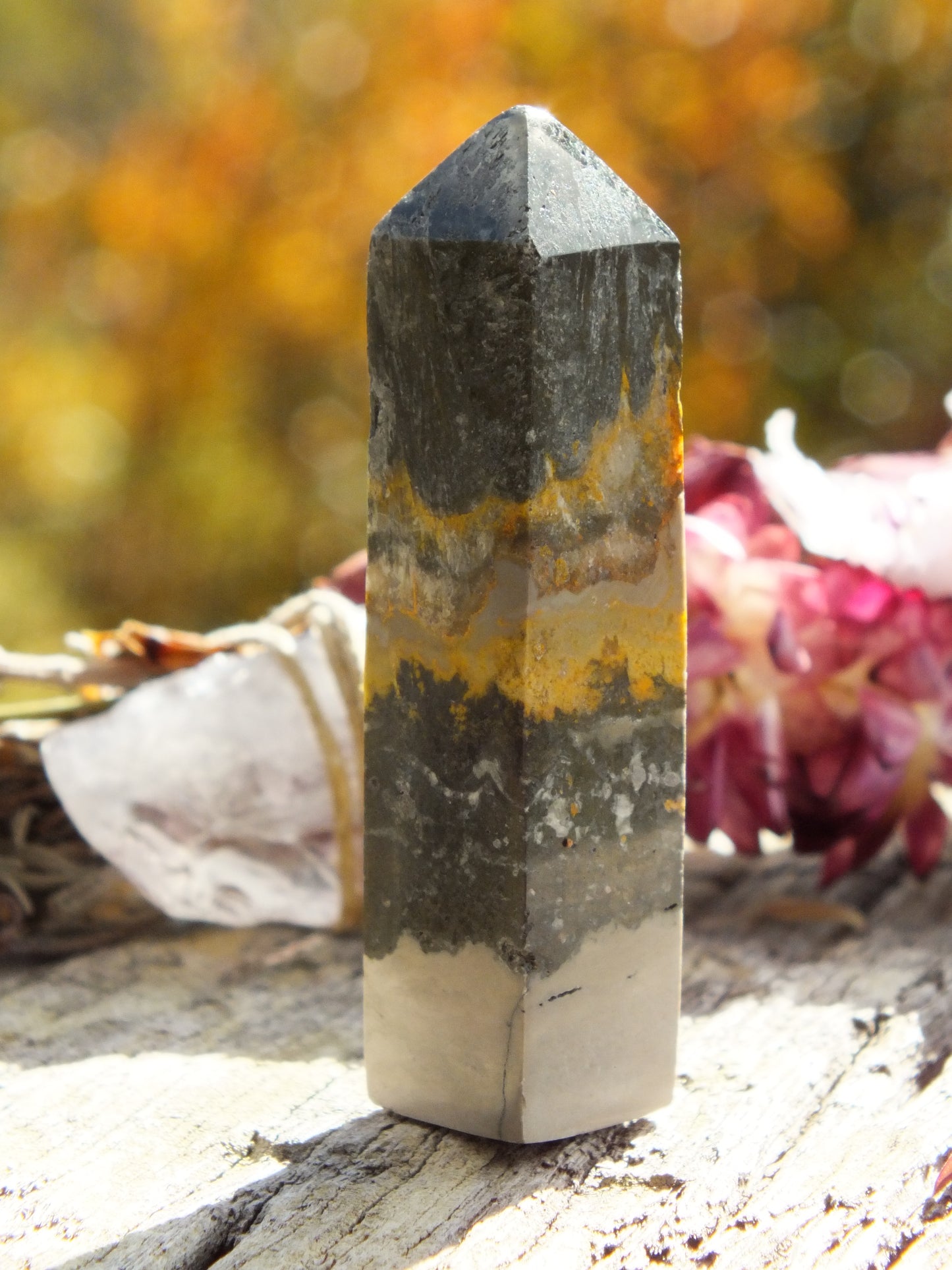 Bumblebee Jasper Mini Point