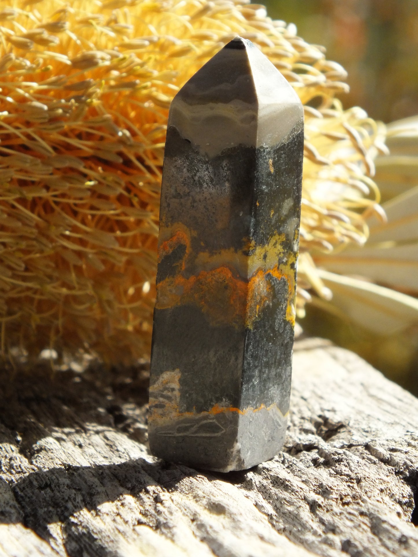 Bumblebee Jasper Mini Point
