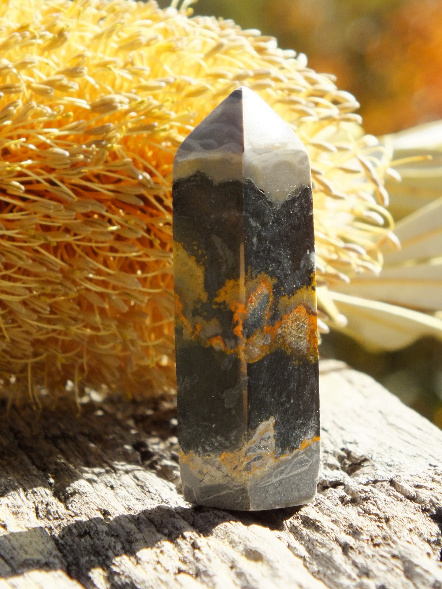 Bumblebee Jasper Mini Point