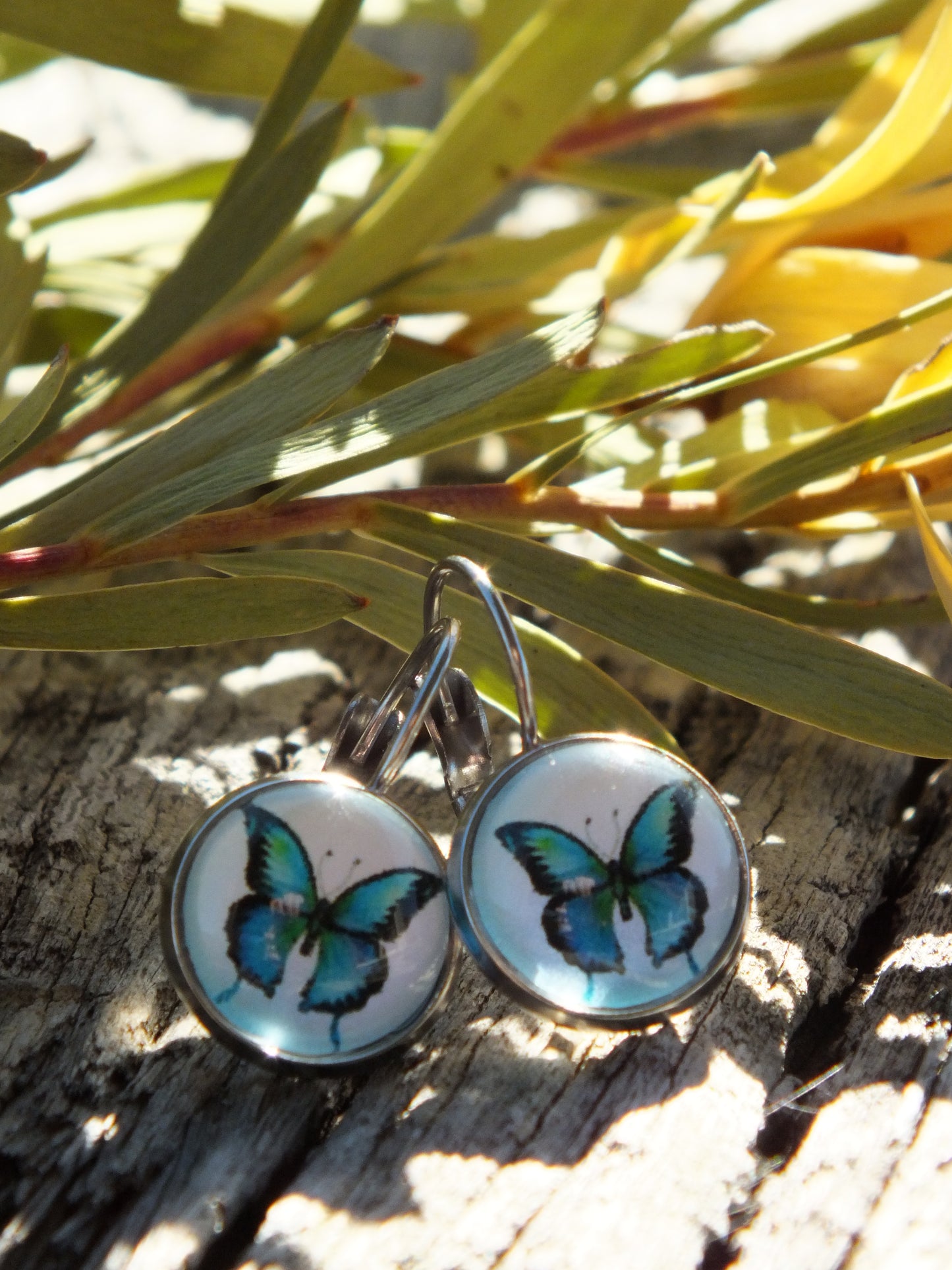 Blue Ulysses Butterfly Cabochon Earrings