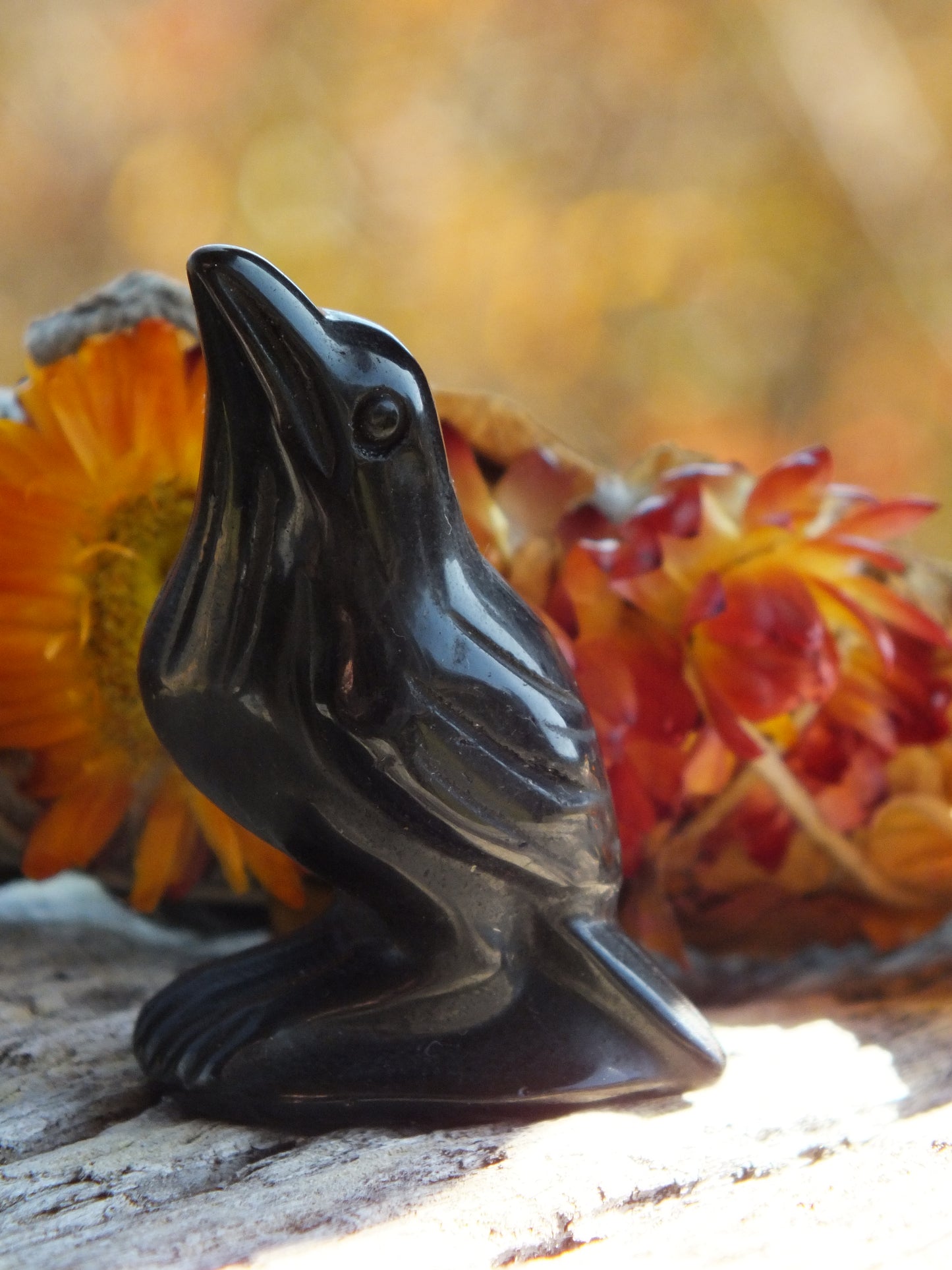 Black Obsidian Raven