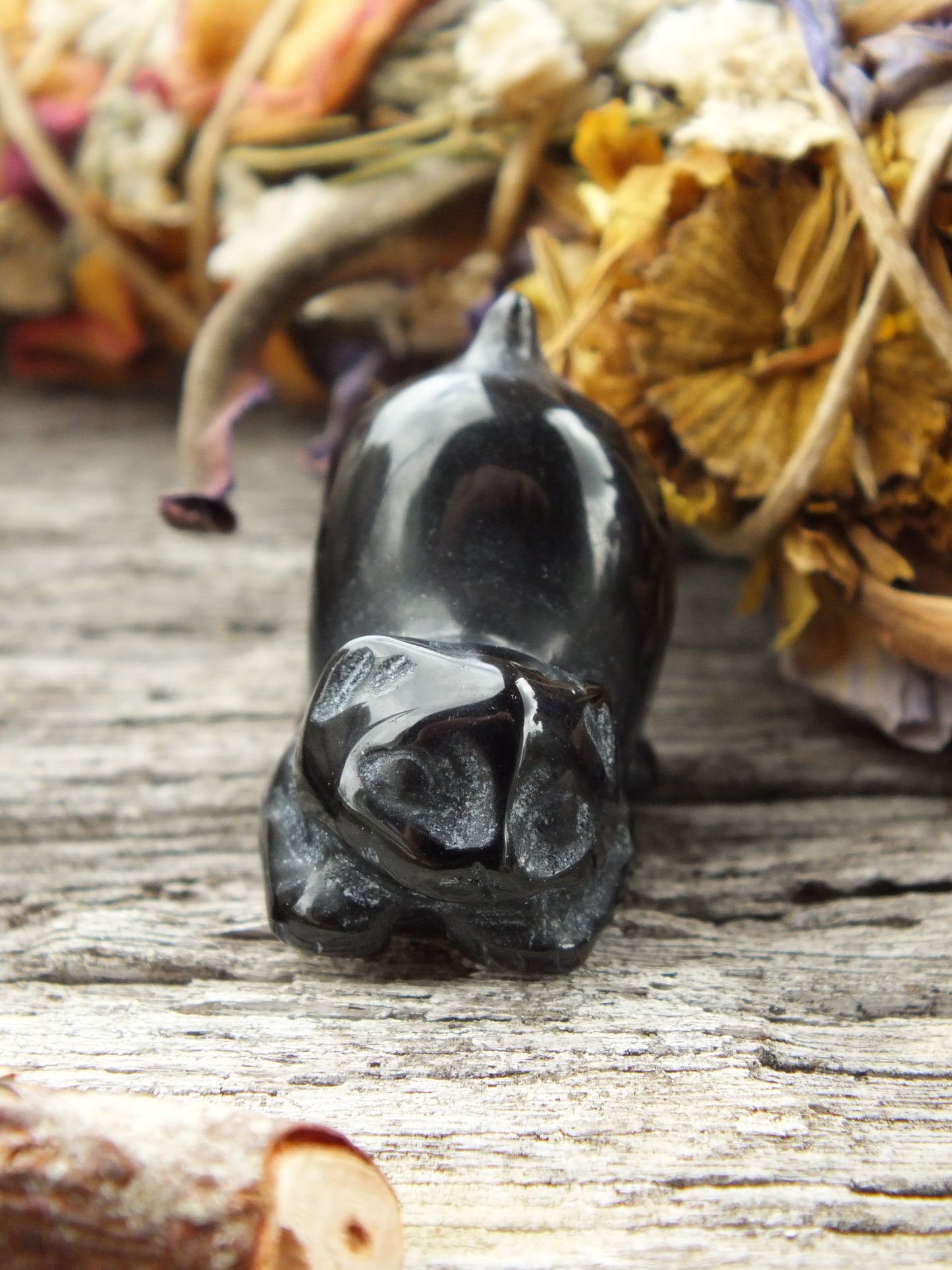 Obsidian Manx