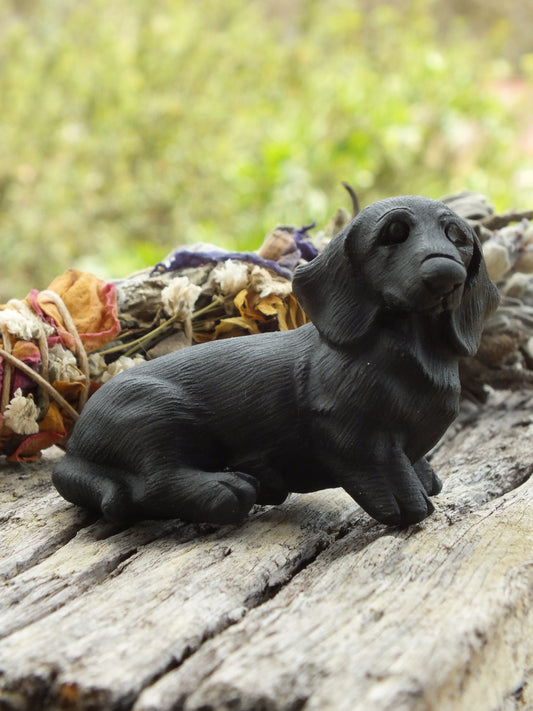 Obsidian Dachshund