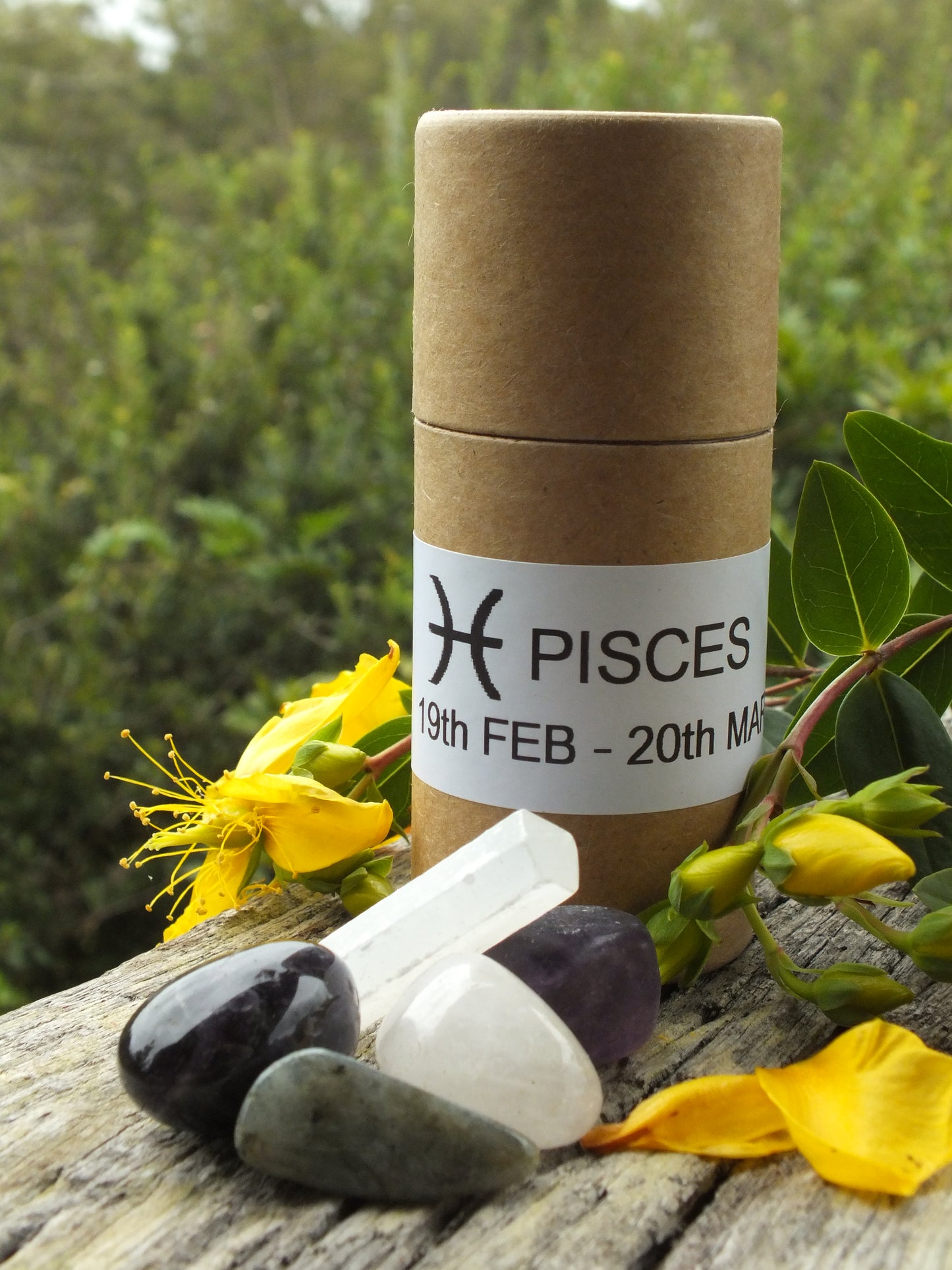 Zodiac Crystal Tube - Pisces