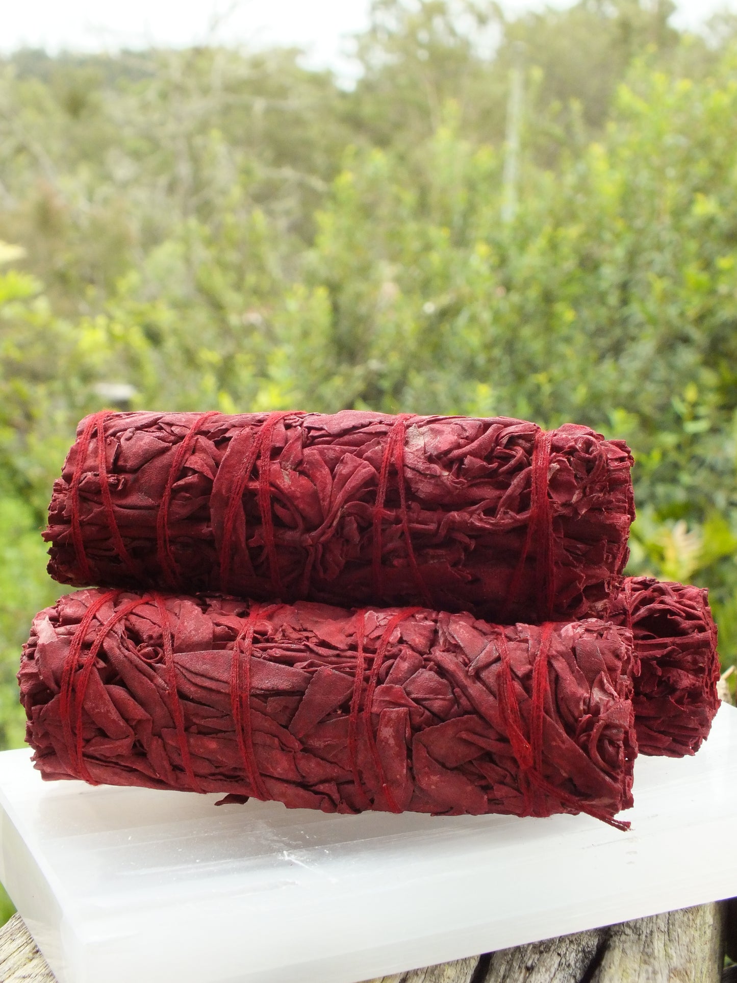 Red Sage/Dragon’s Blood Bundle (Medium)