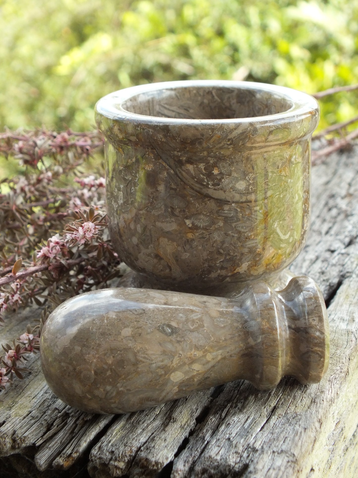 Oceanic Fossil Miniature Mortar & Pestle