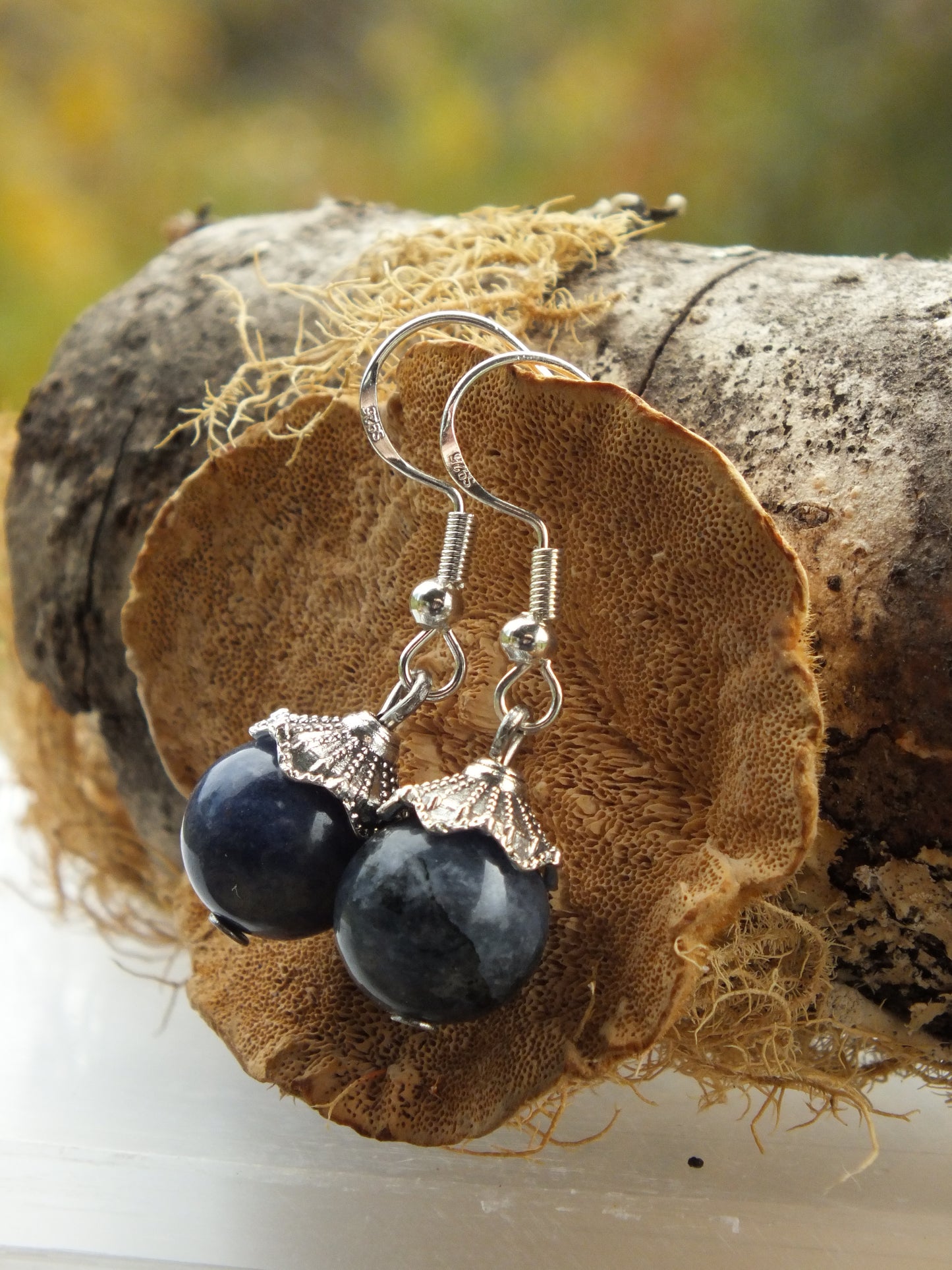 Sodalite Simple Earrings