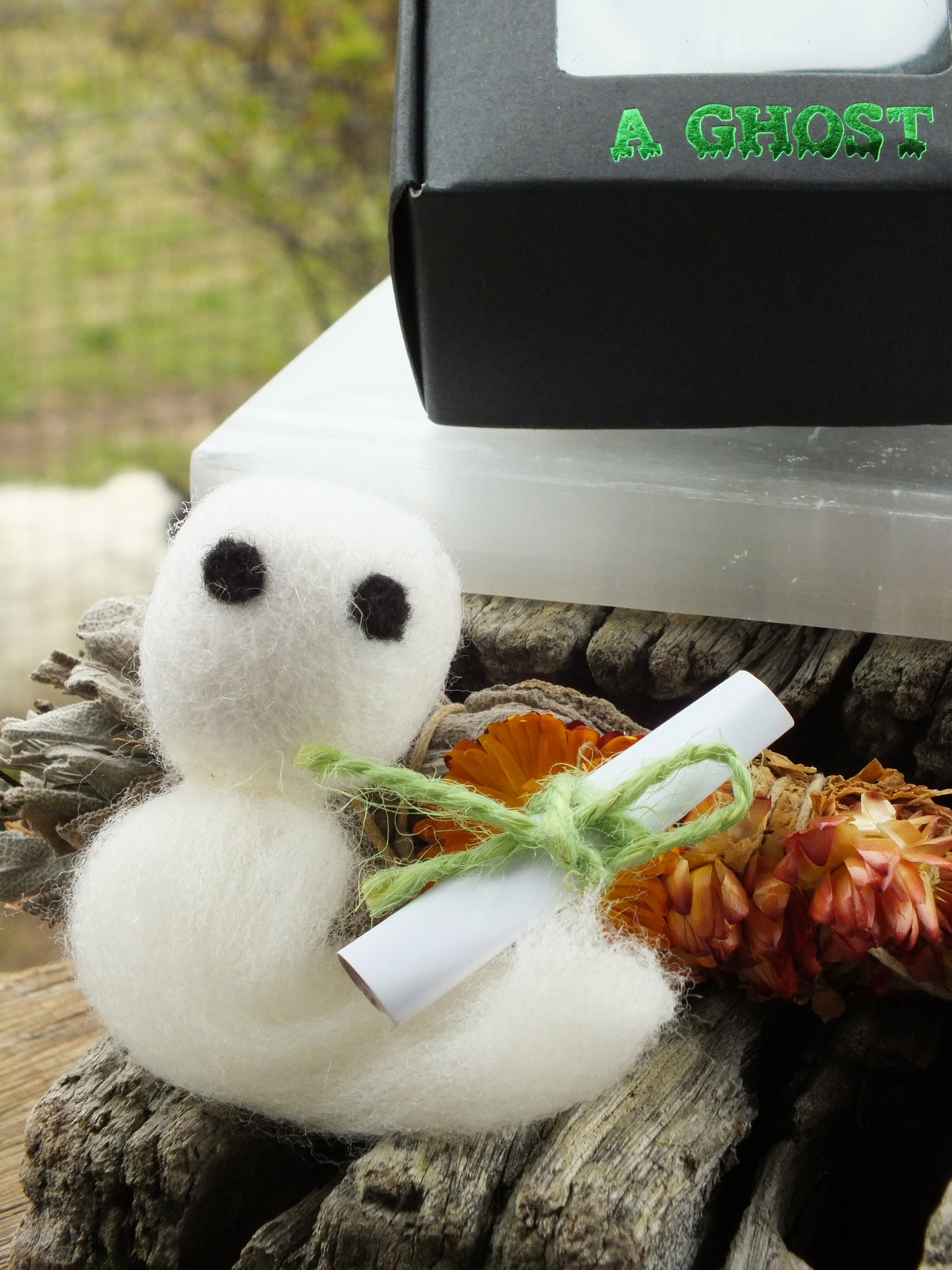 Adopt A Ghost