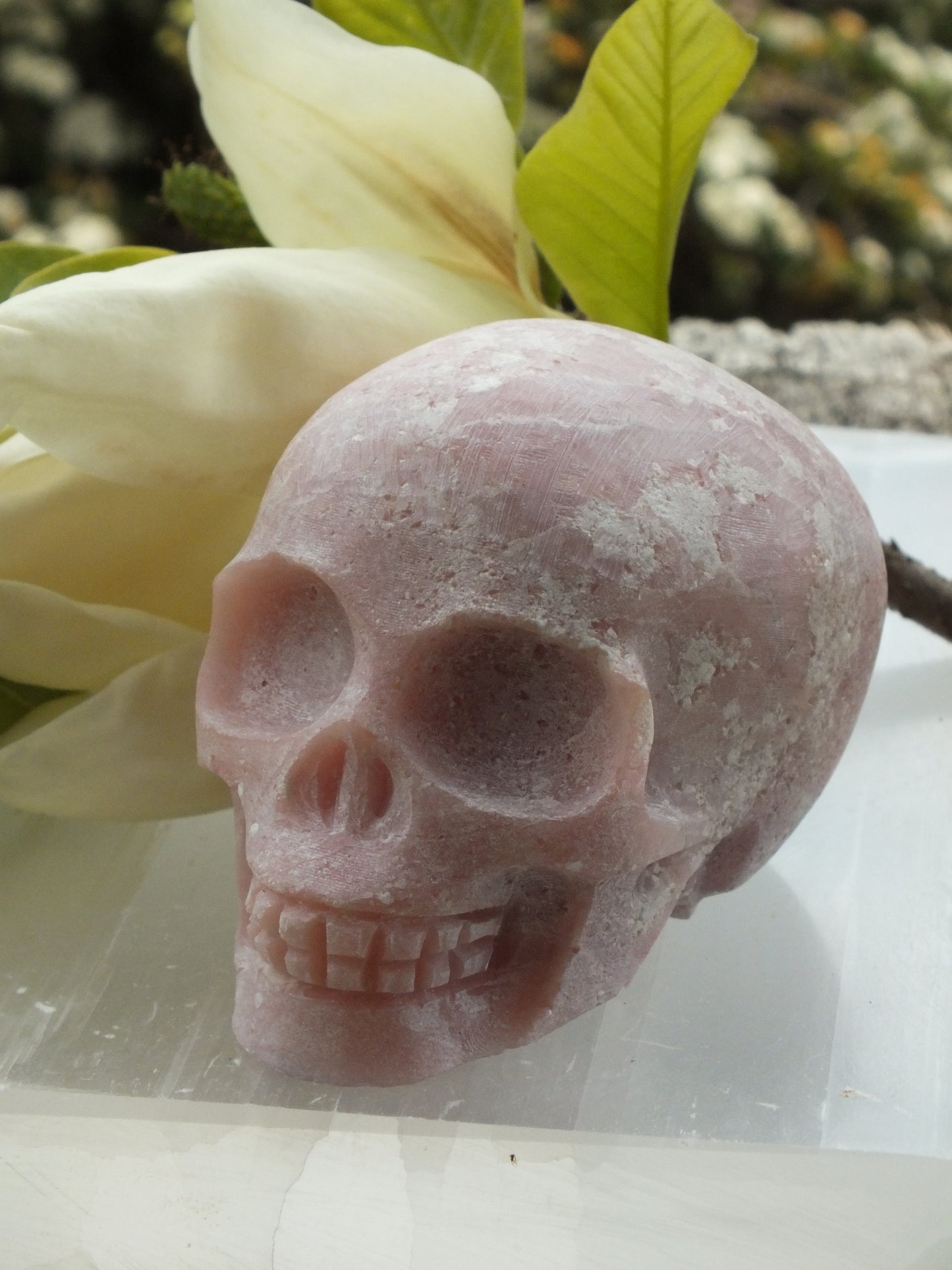 Pink Opal Skull