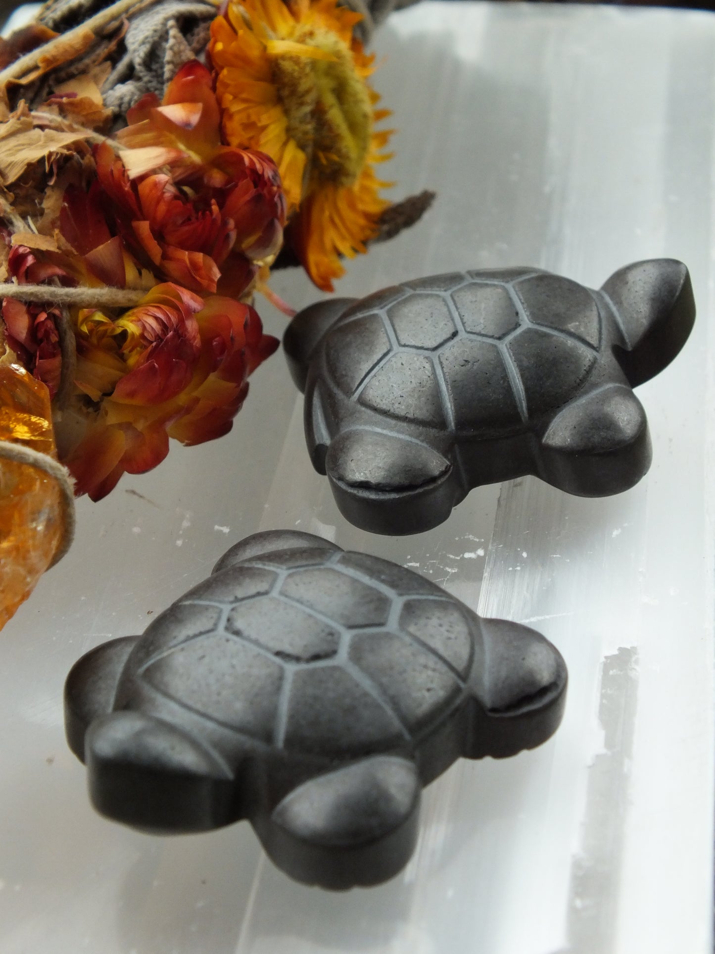 Hematite Turle