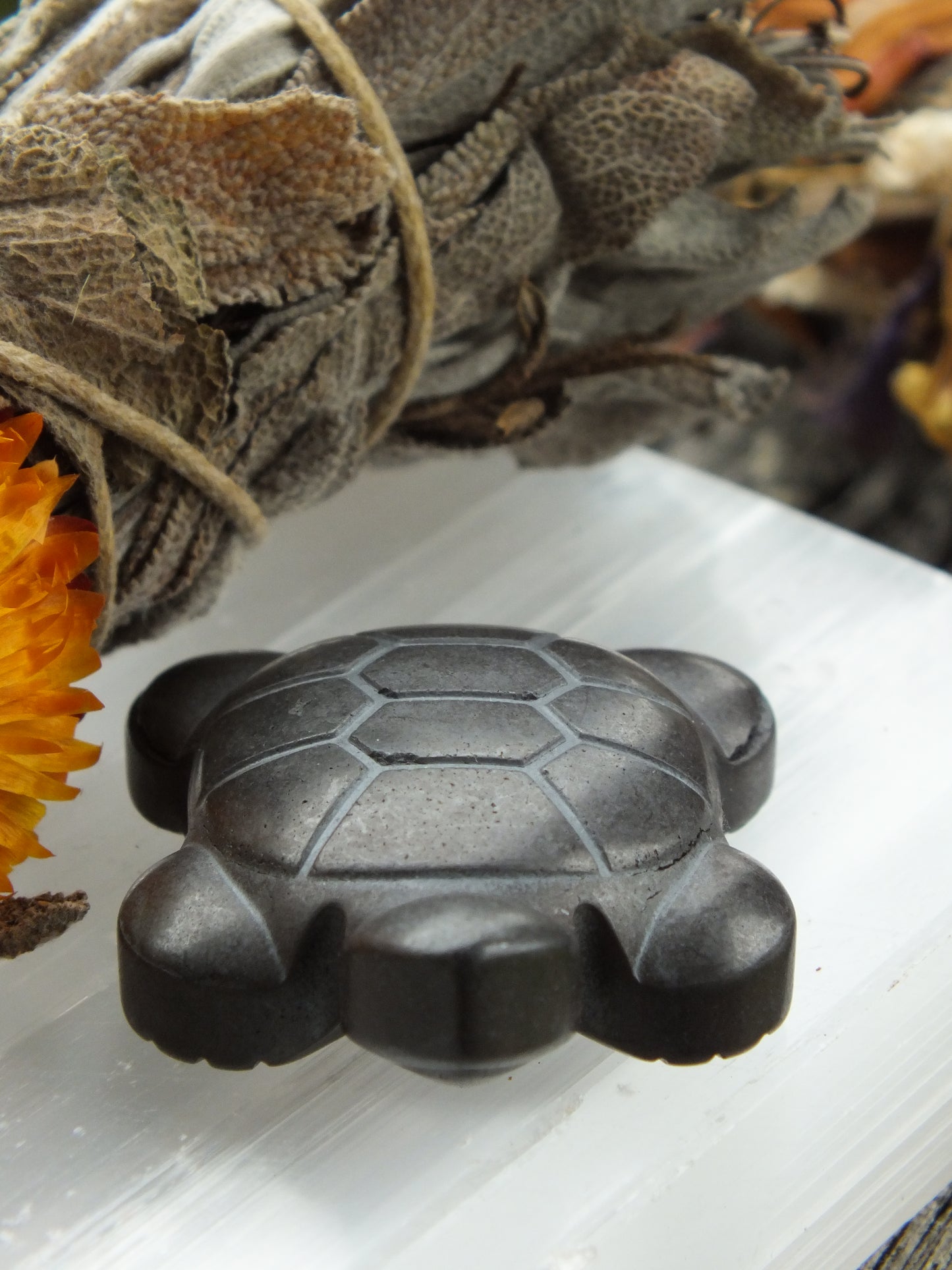Hematite Turle