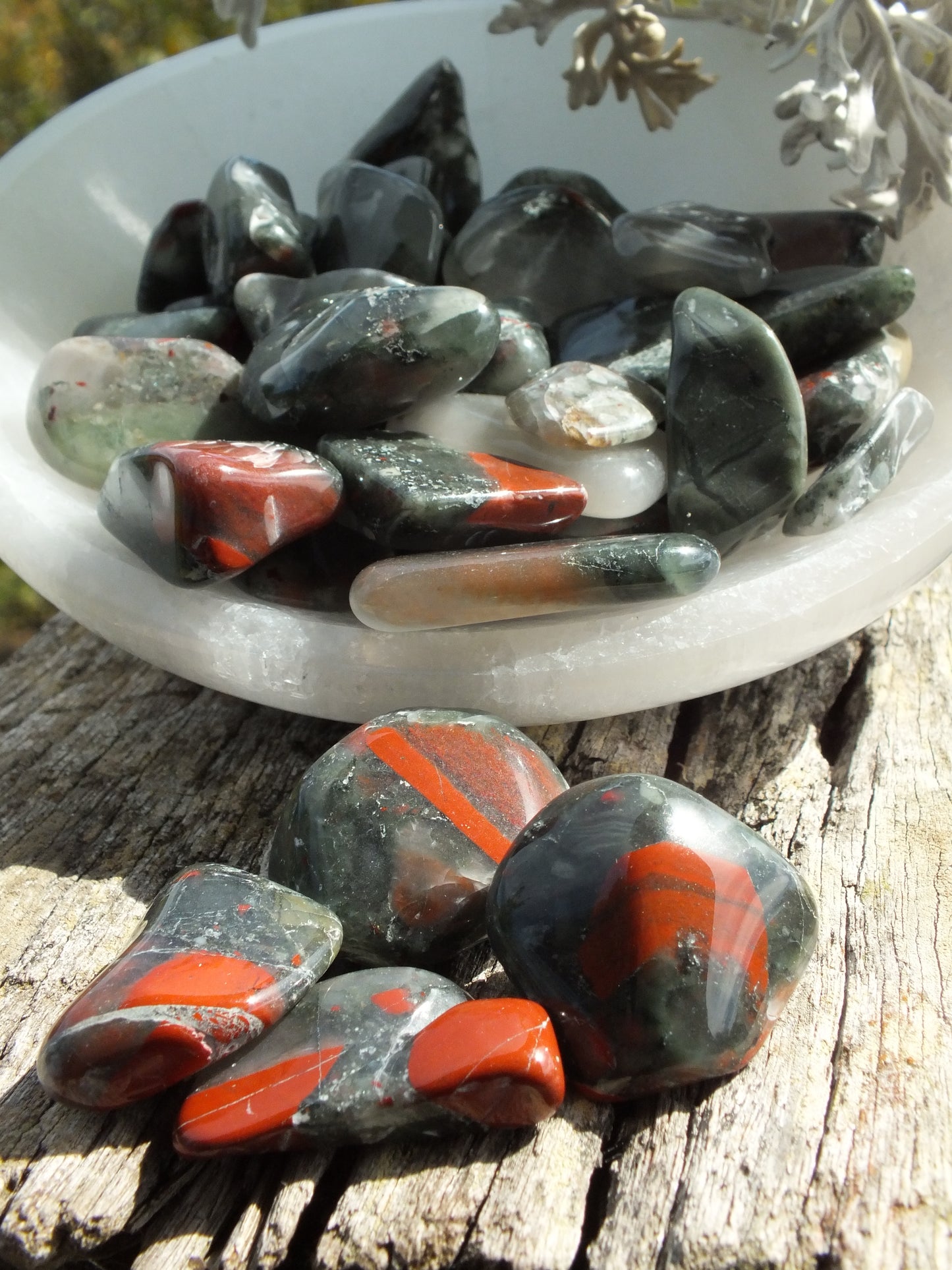Bloodstone Tumble Stone
