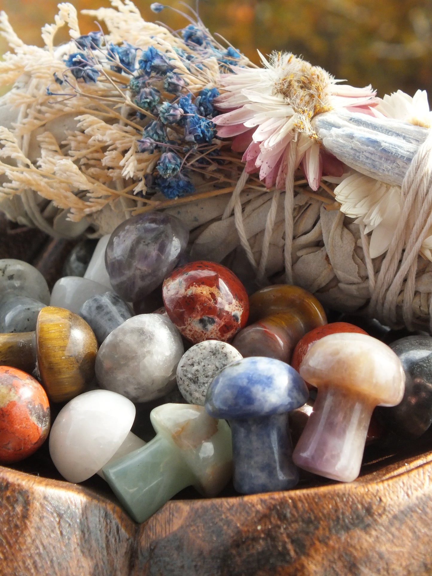 Assorted Crystal Mini Mushrooms