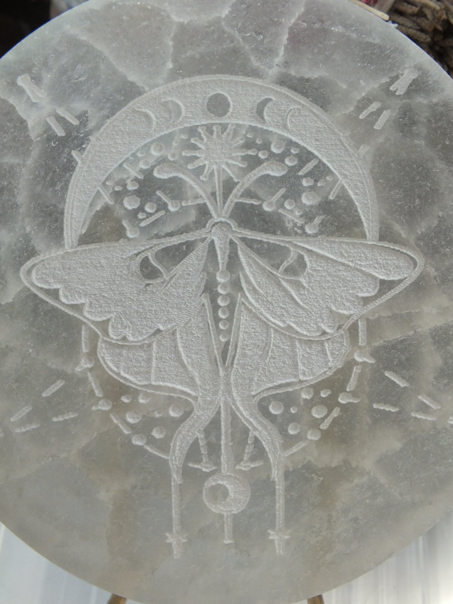 Luna Moth Etched Selenite Charging Plate