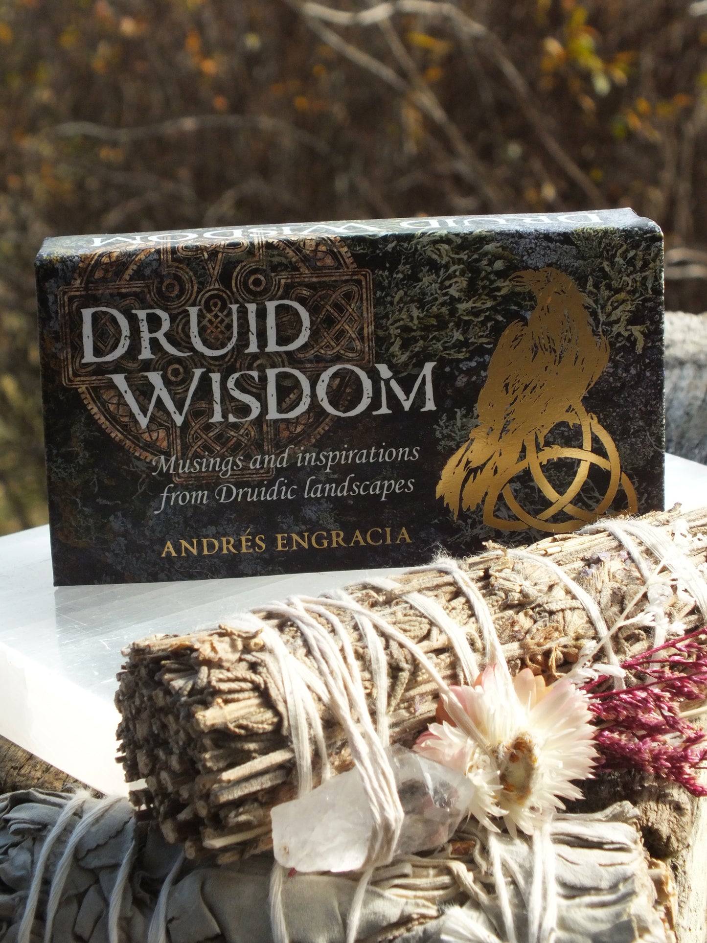 Druid Wisdom