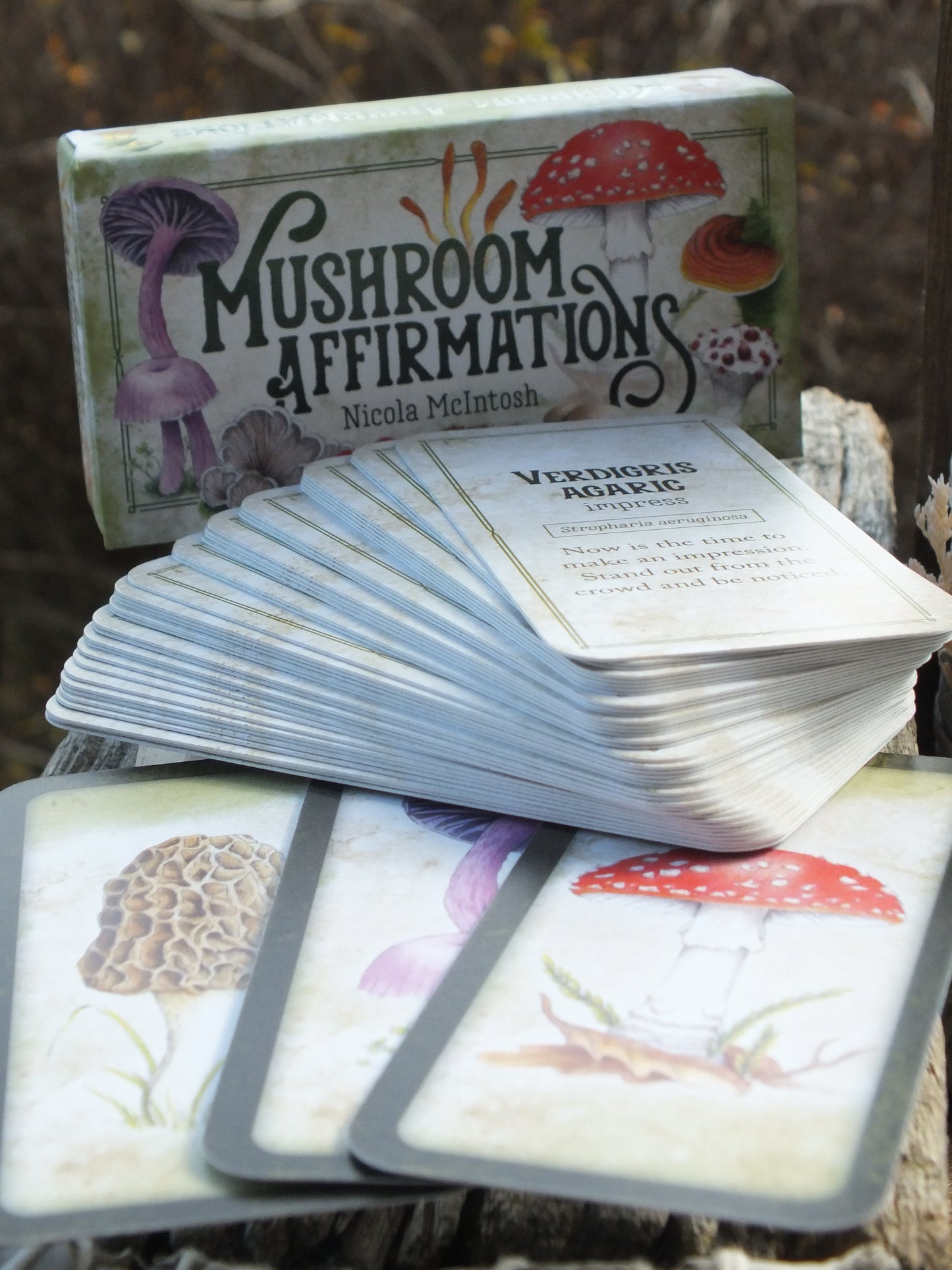 Mushroom Affirmations