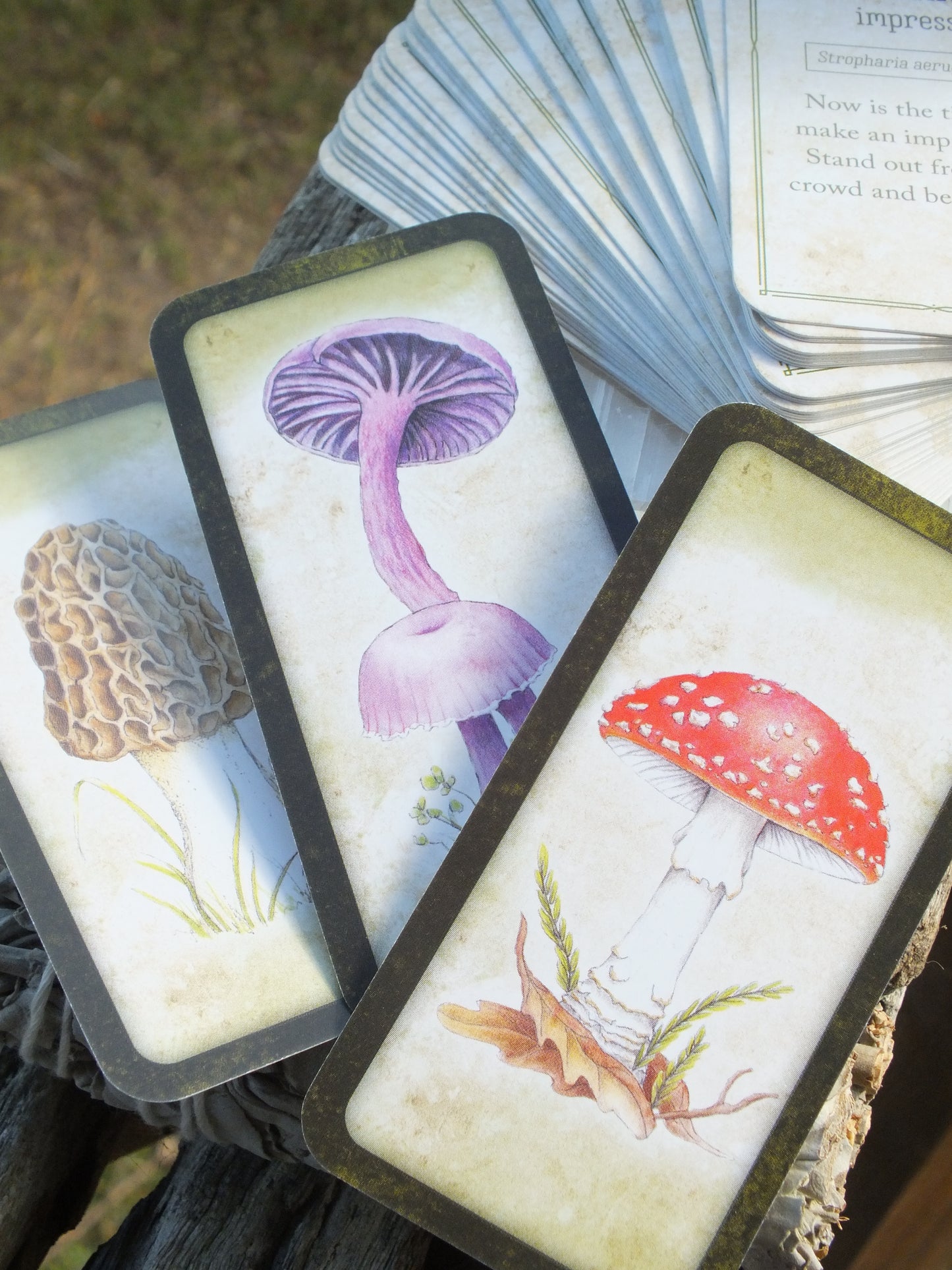 Mushroom Affirmations