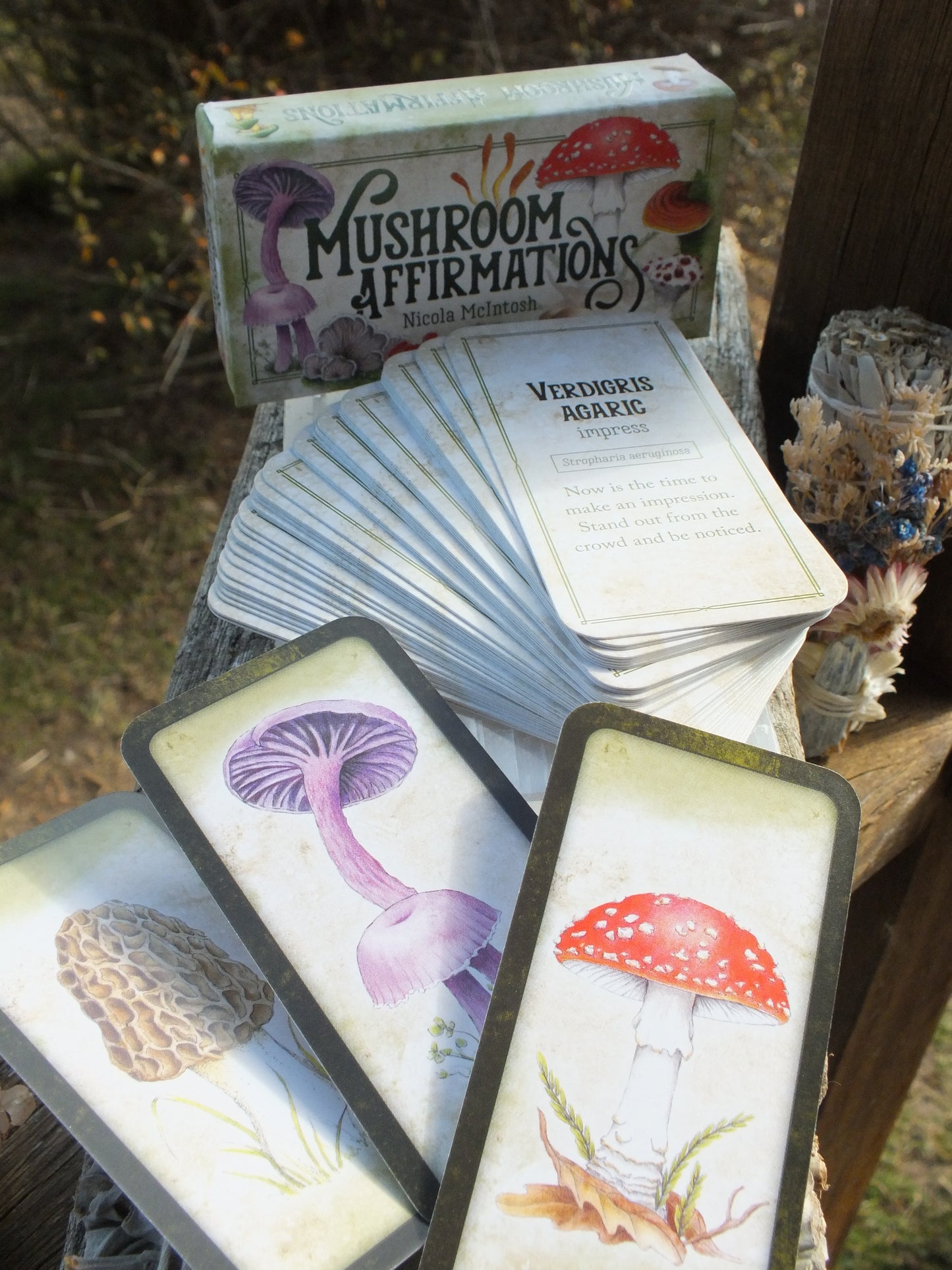 Mushroom Affirmations