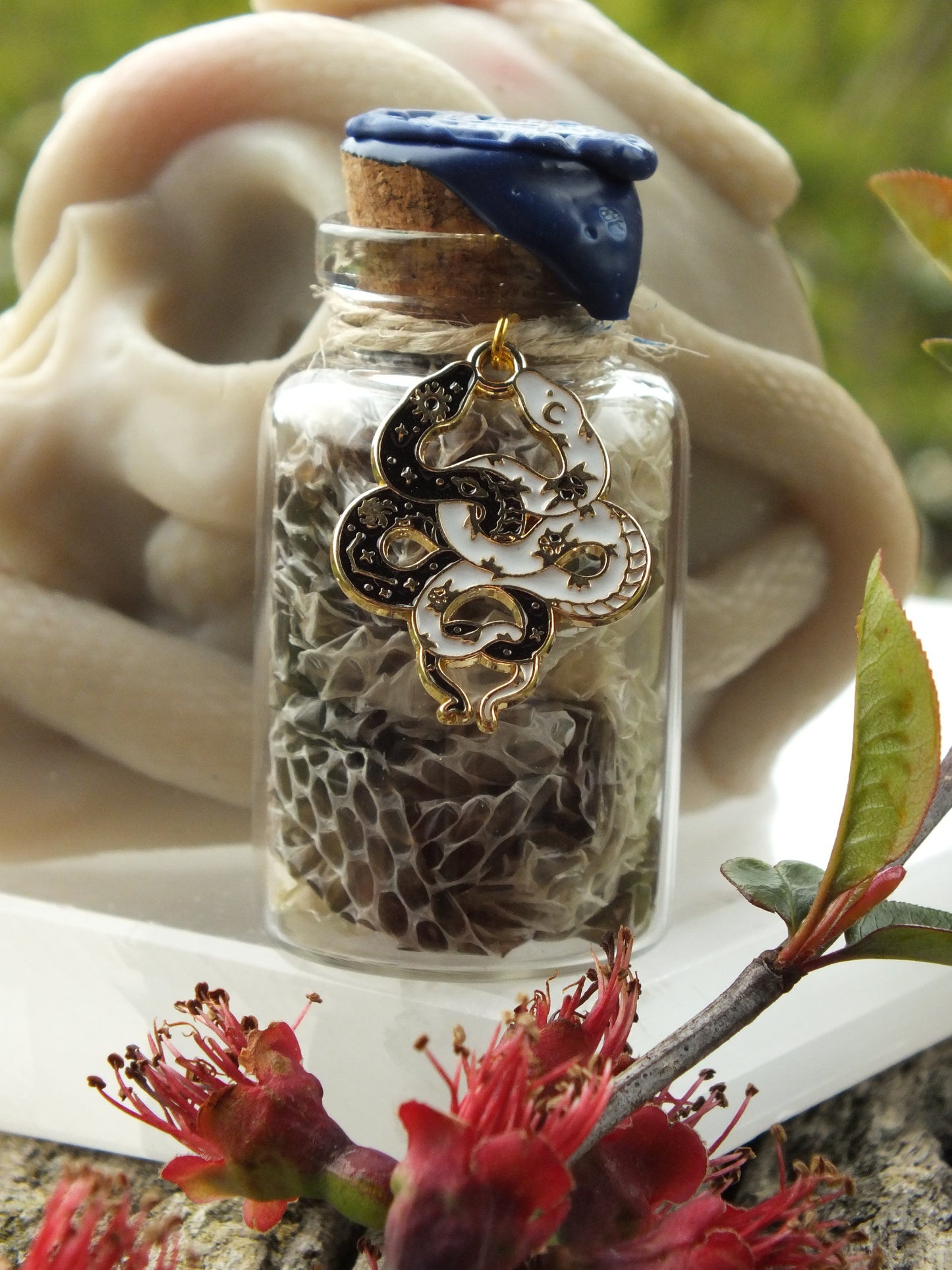 The Serpent Talisman
