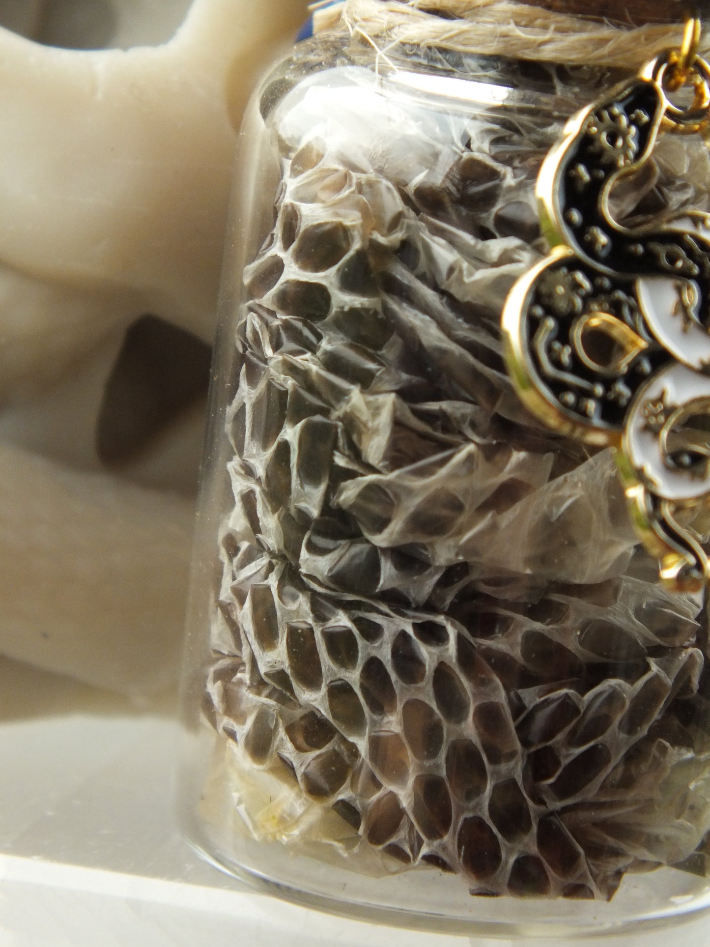 The Serpent Talisman