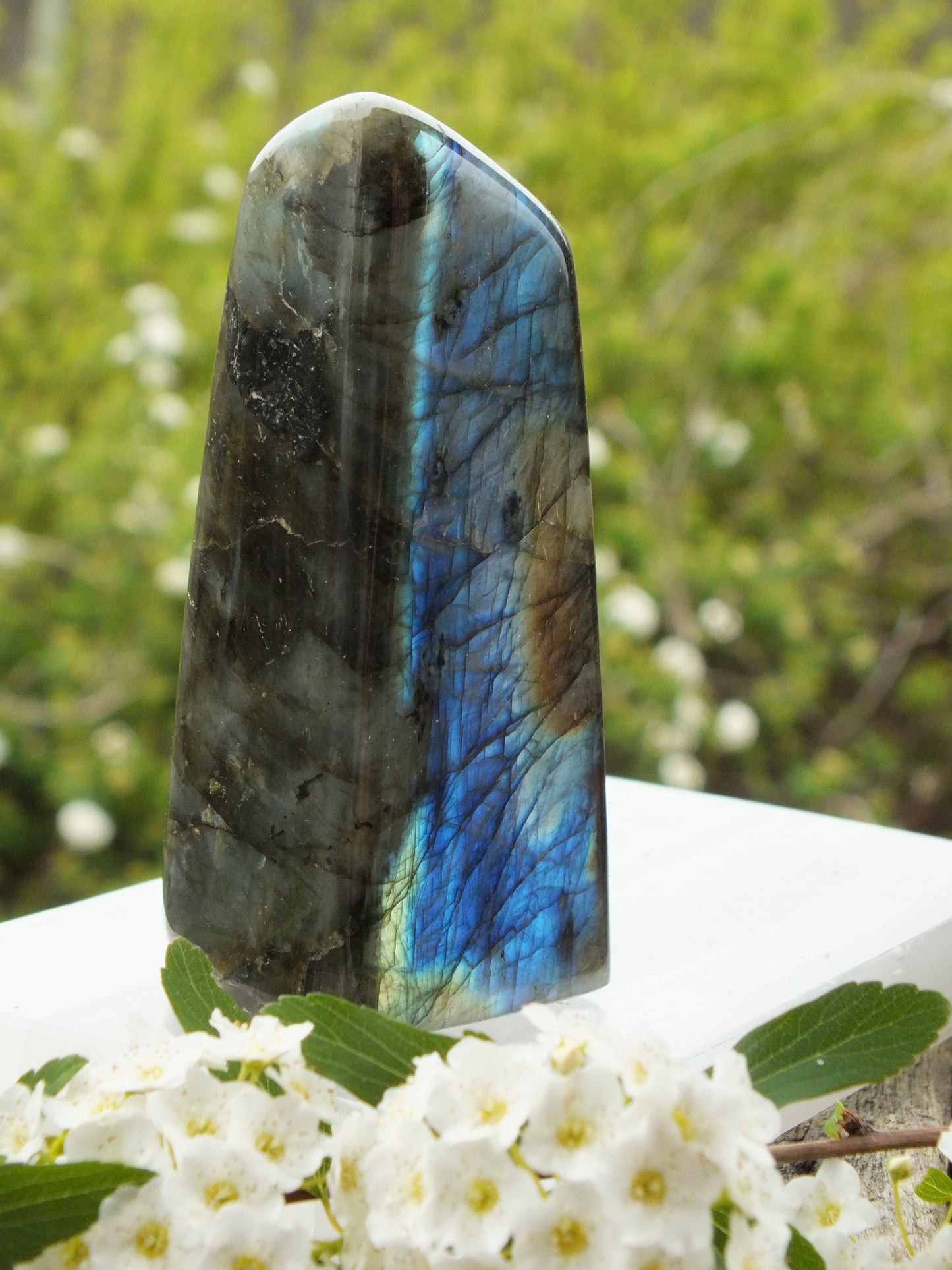 Labradorite Free Form