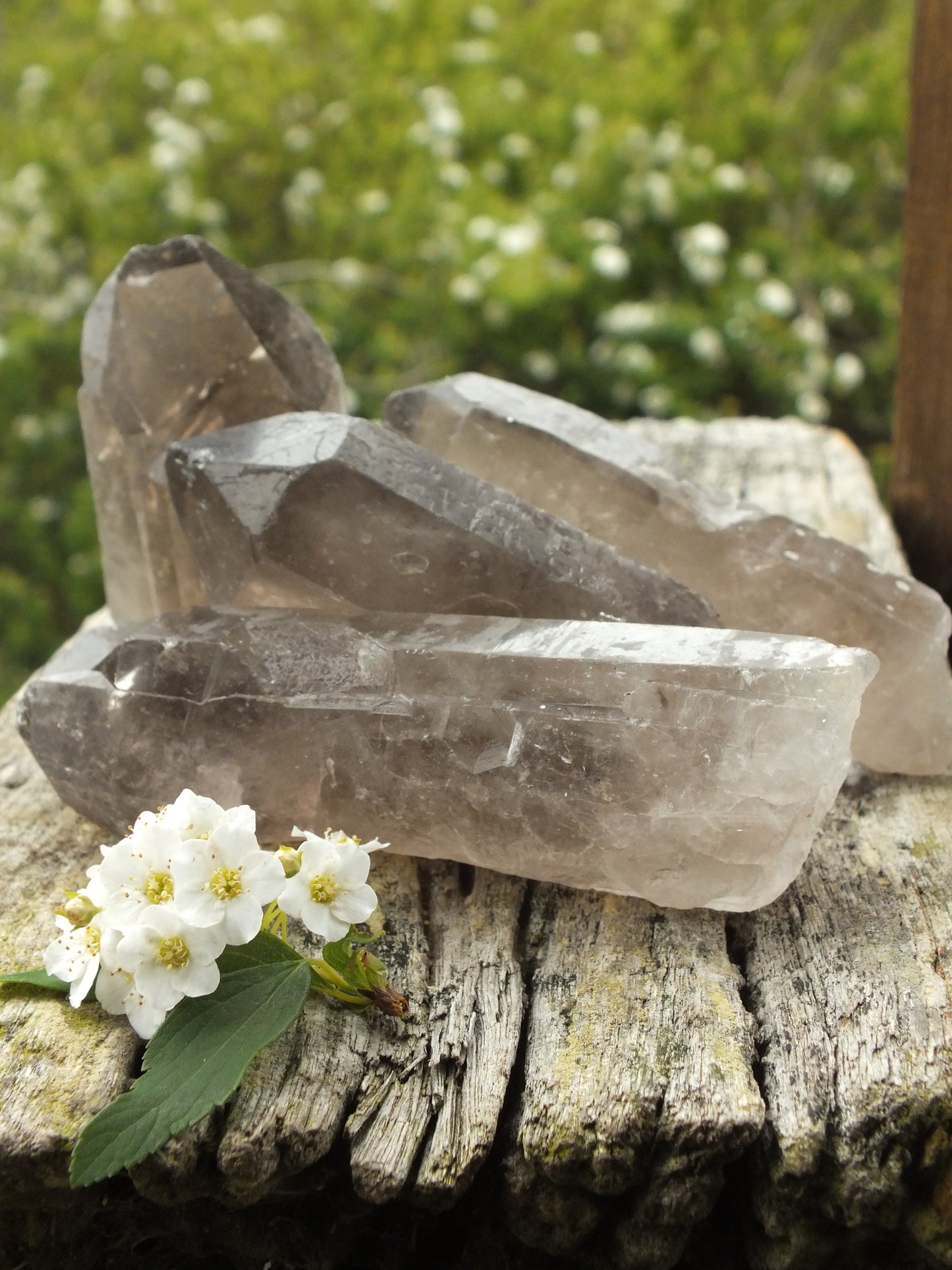 Natural Smoky Quartz Point