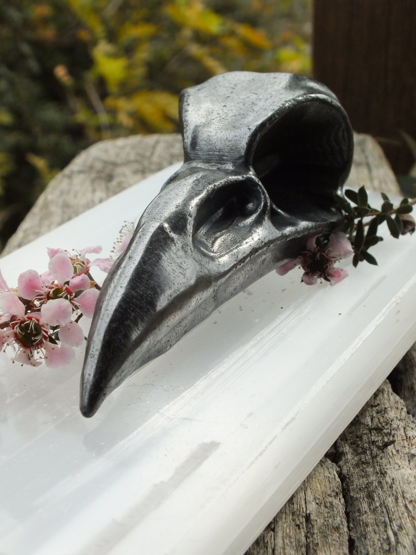 Shungite Raven Skull