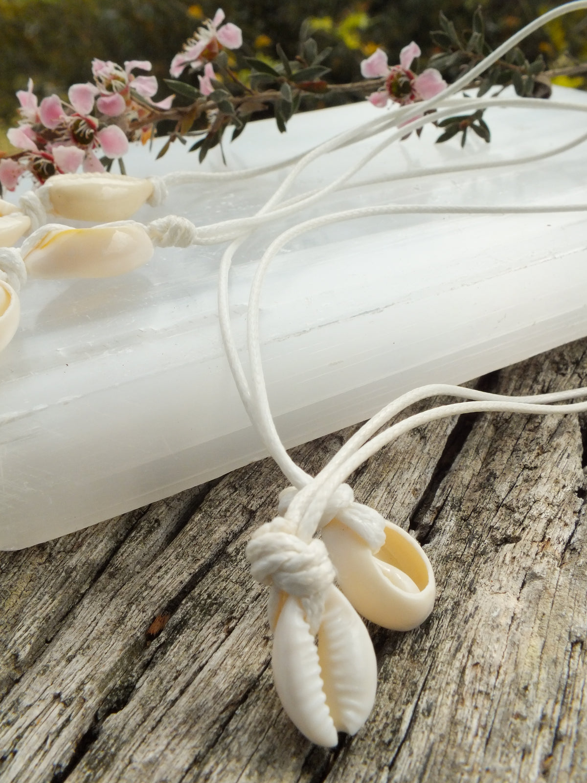 Cowrie Shell Necklace