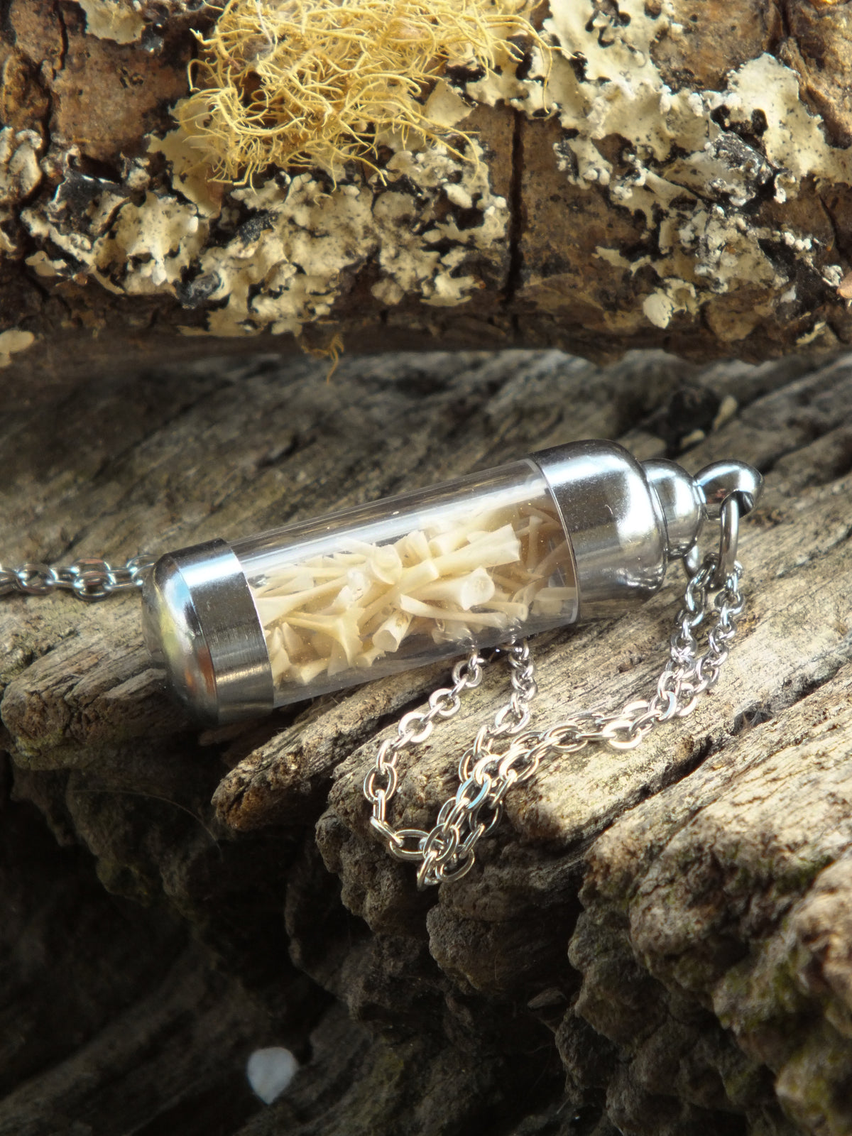 "The Bone Collector" - Cane Toad Bone Necklace