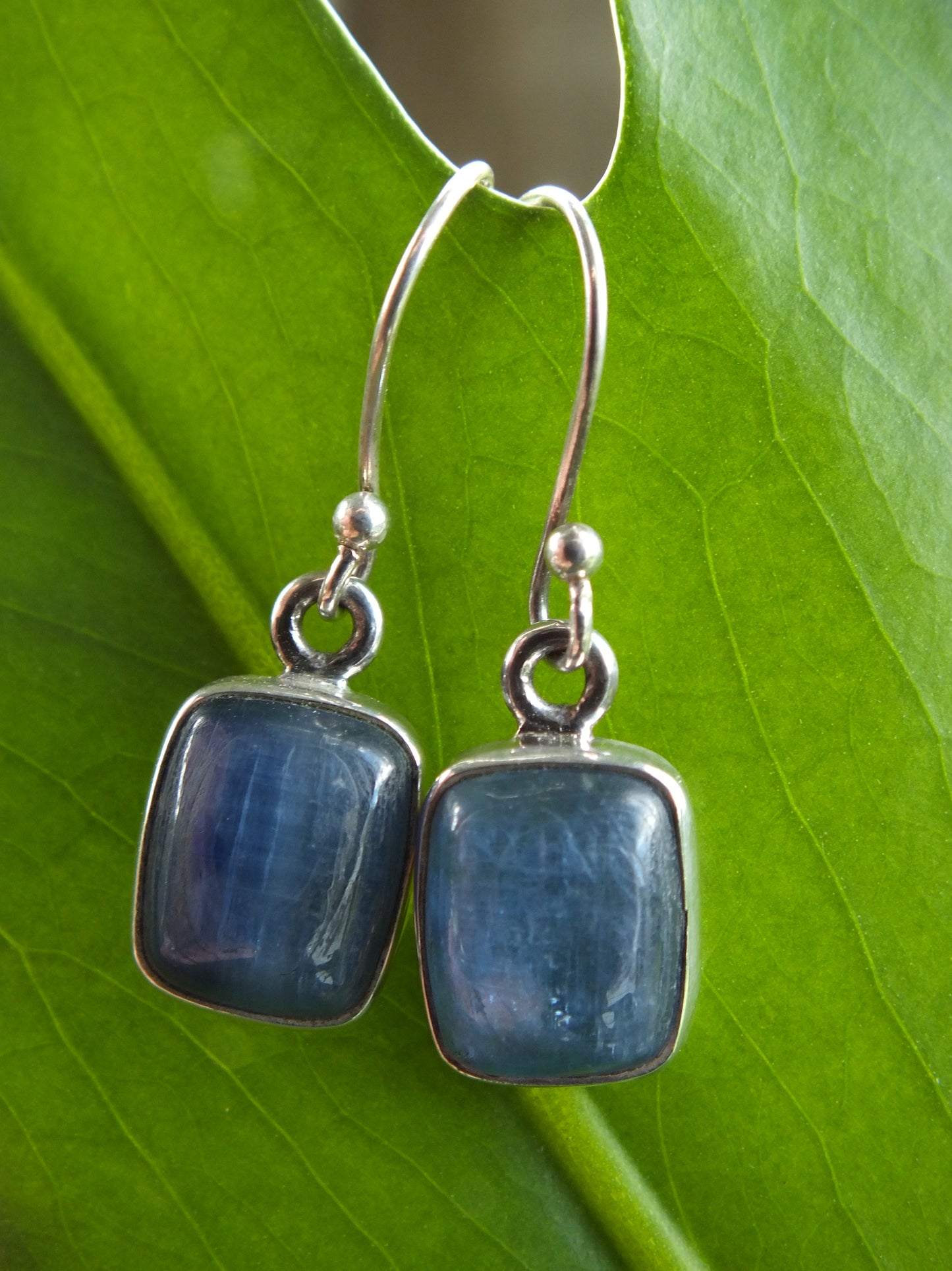 Sterling Silver Kyanite Earrings