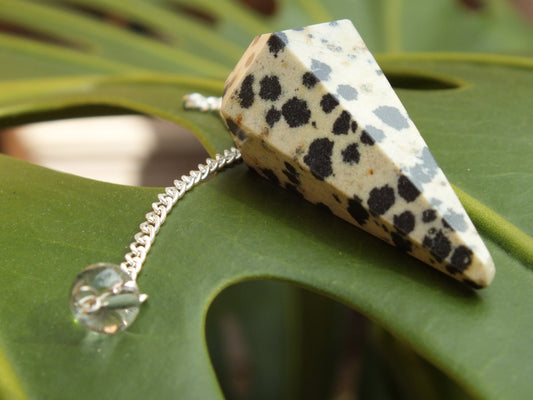 Dalmatian Jasper Pendulum