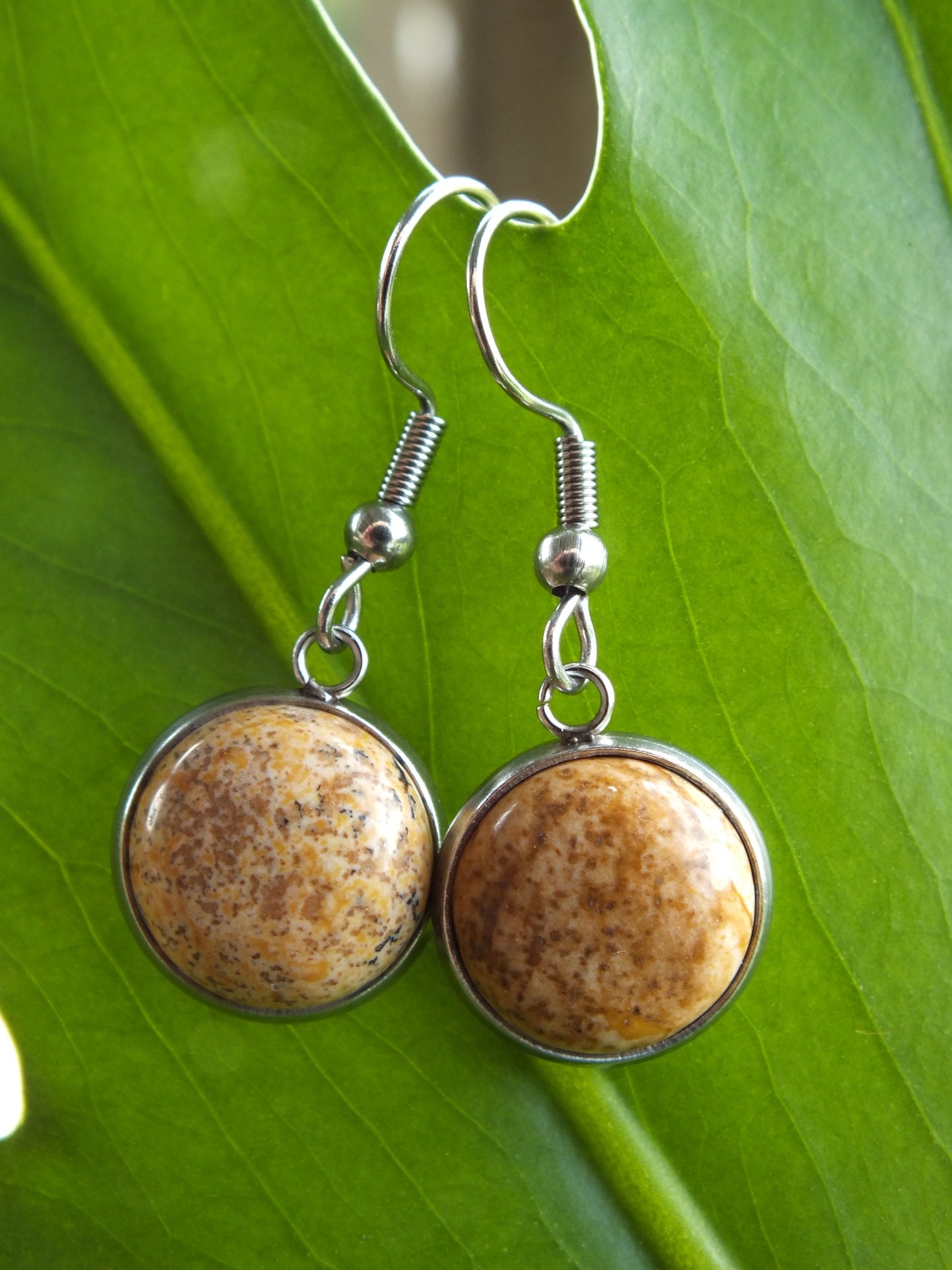 Picture Jasper Cabochon Earrings