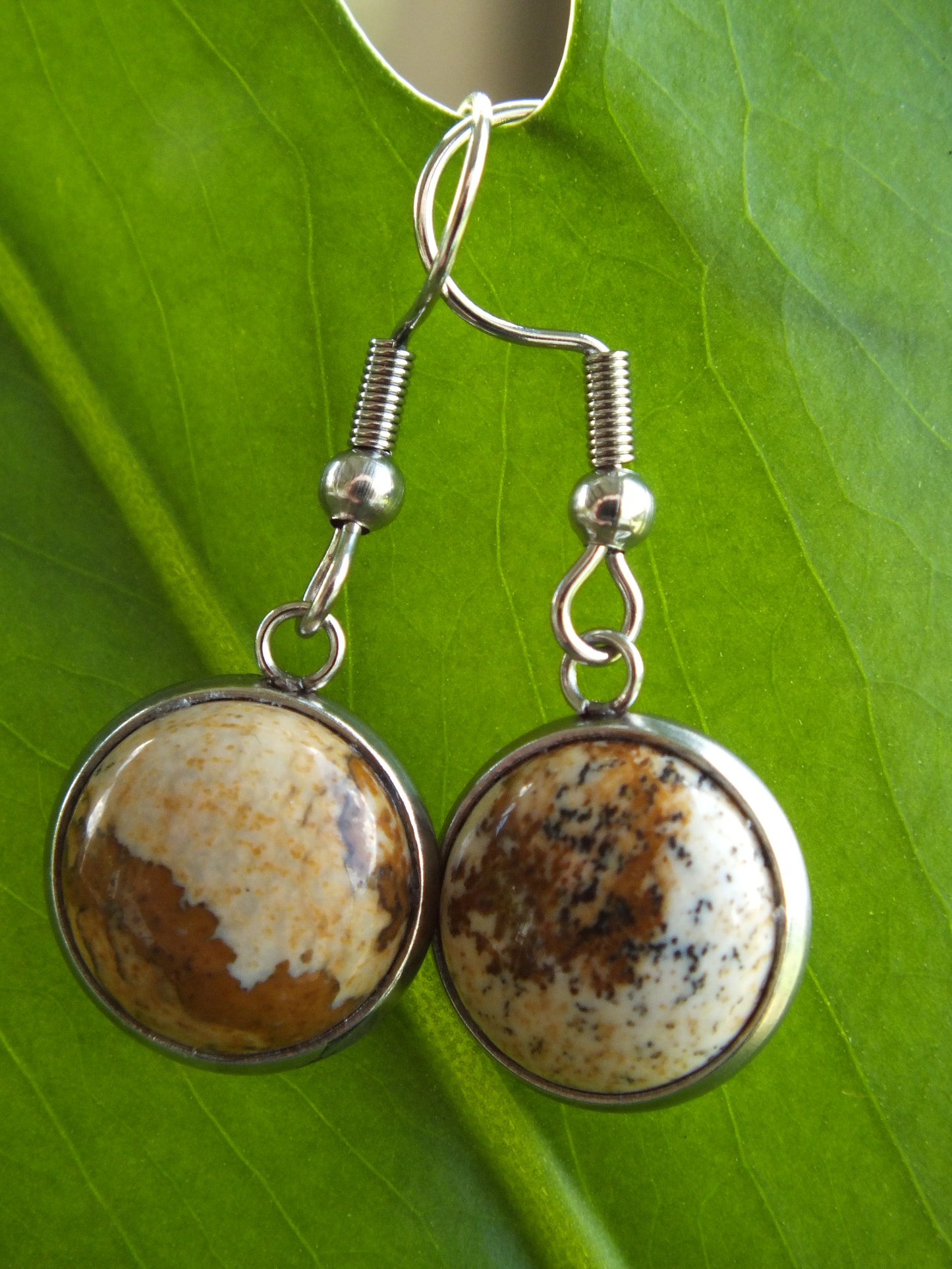 Picture Jasper Cabochon Earrings