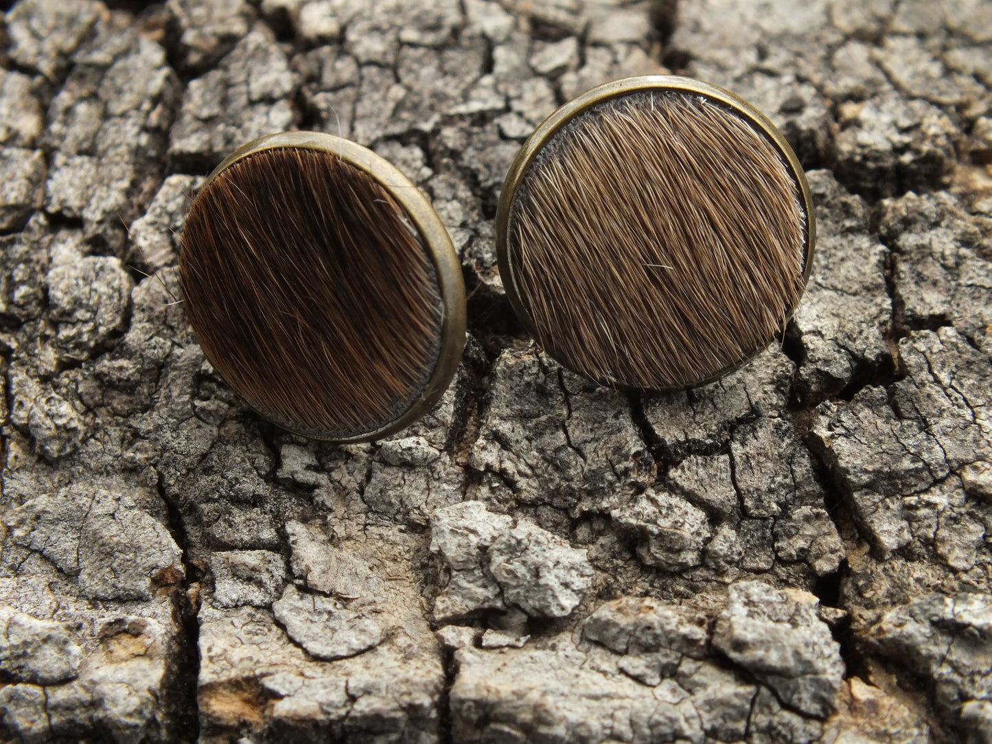 Brown Cattle Hide Stud Earrings