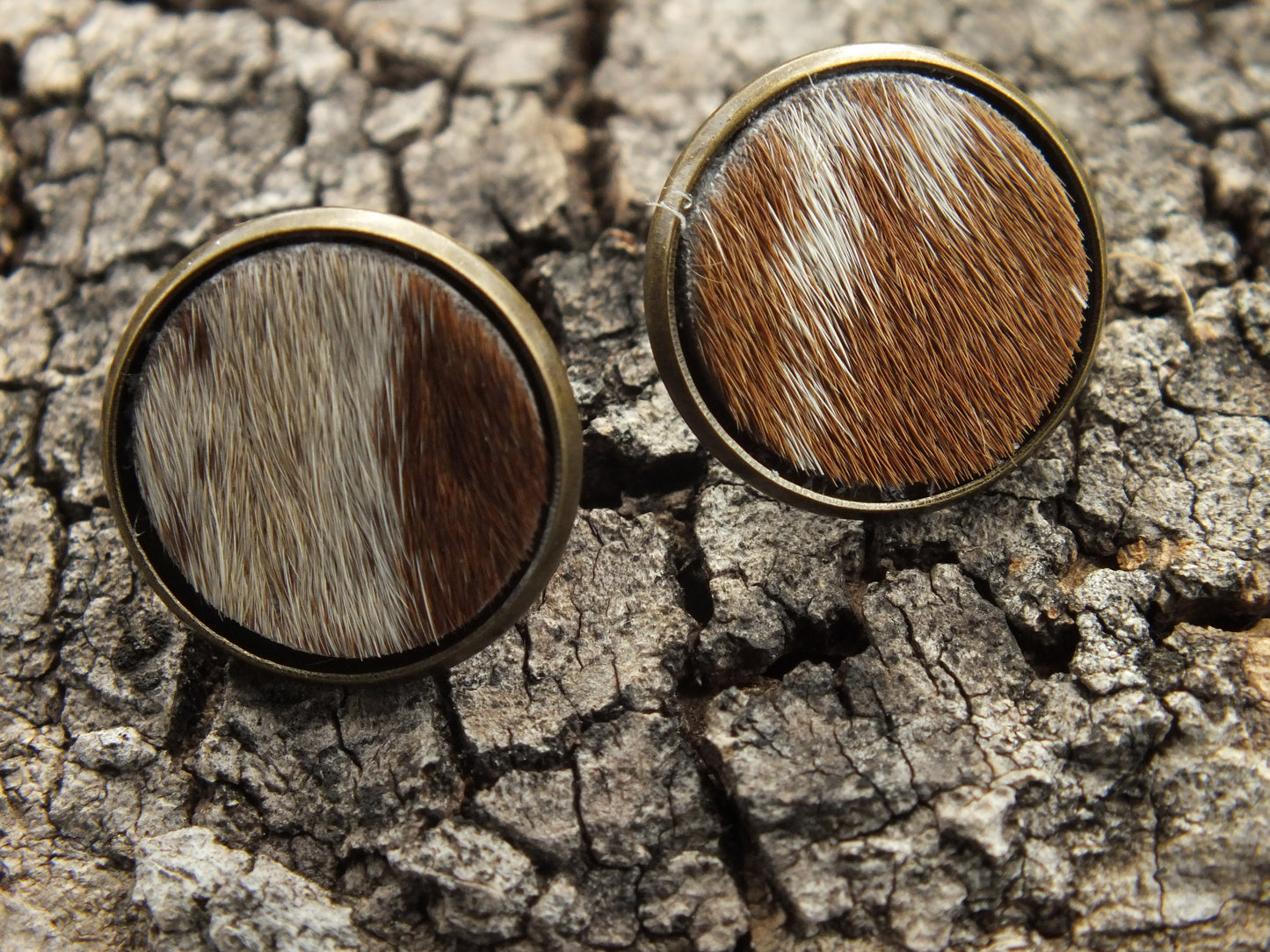 Brown & White Cattle Hide Stud Earrings