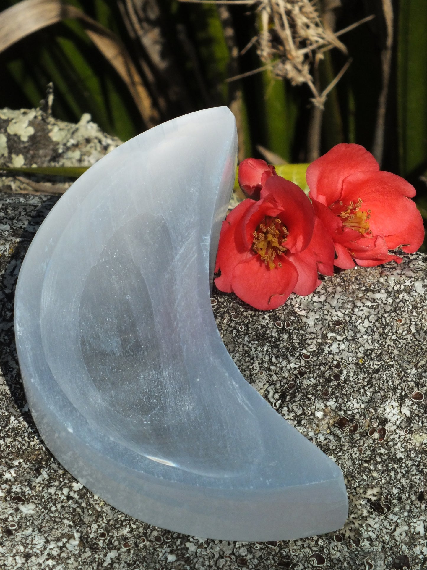 Selenite Crescent Moon Shallow Bowl