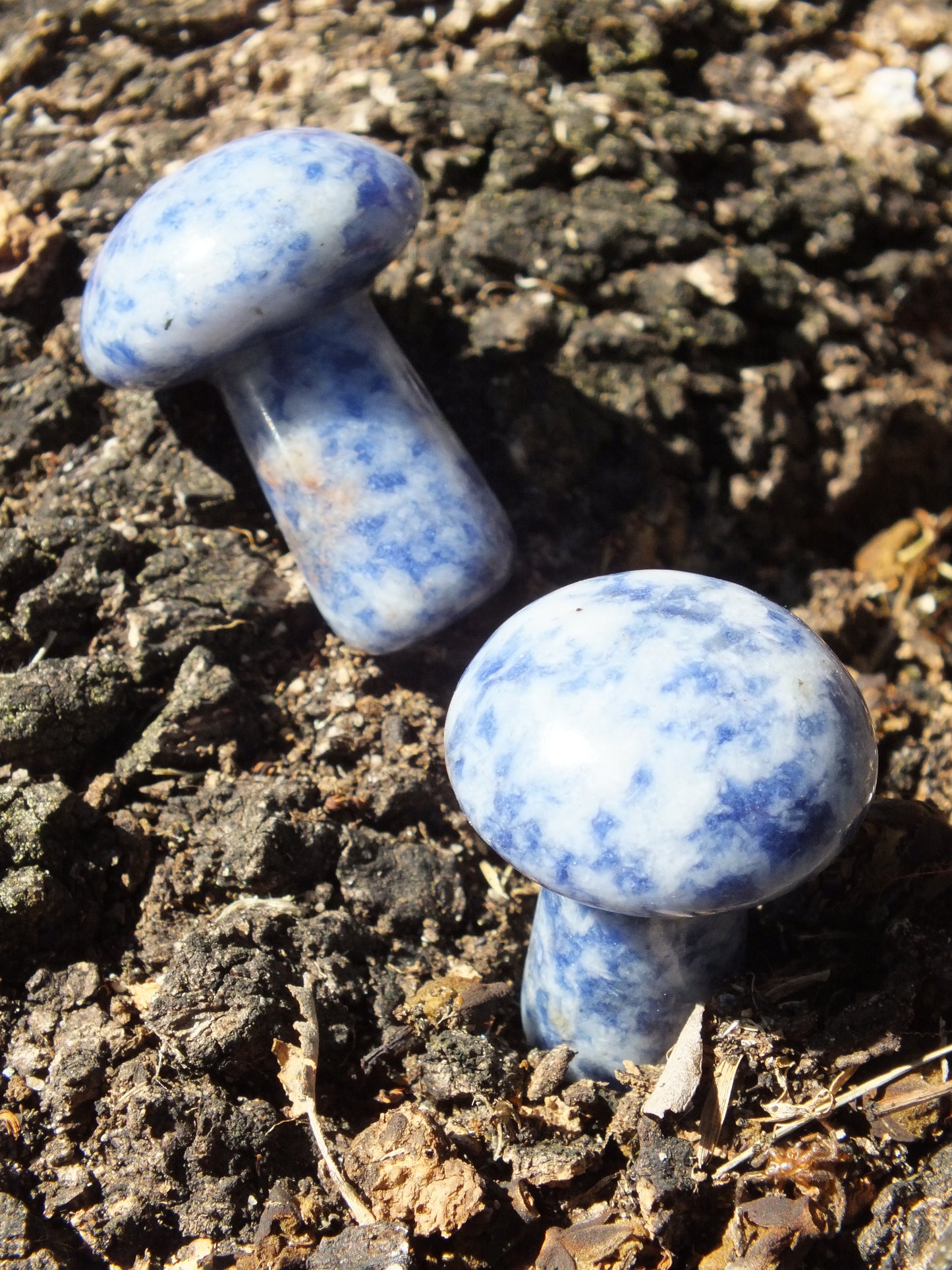 Sodalite Mushroom