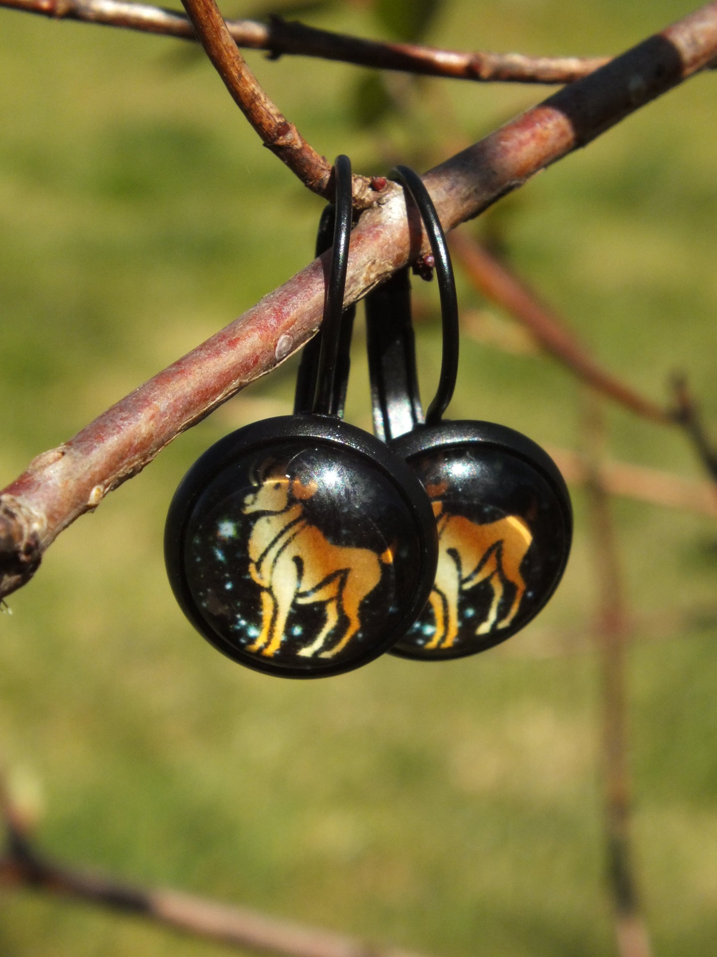 Aires Black Cabochon Earrings