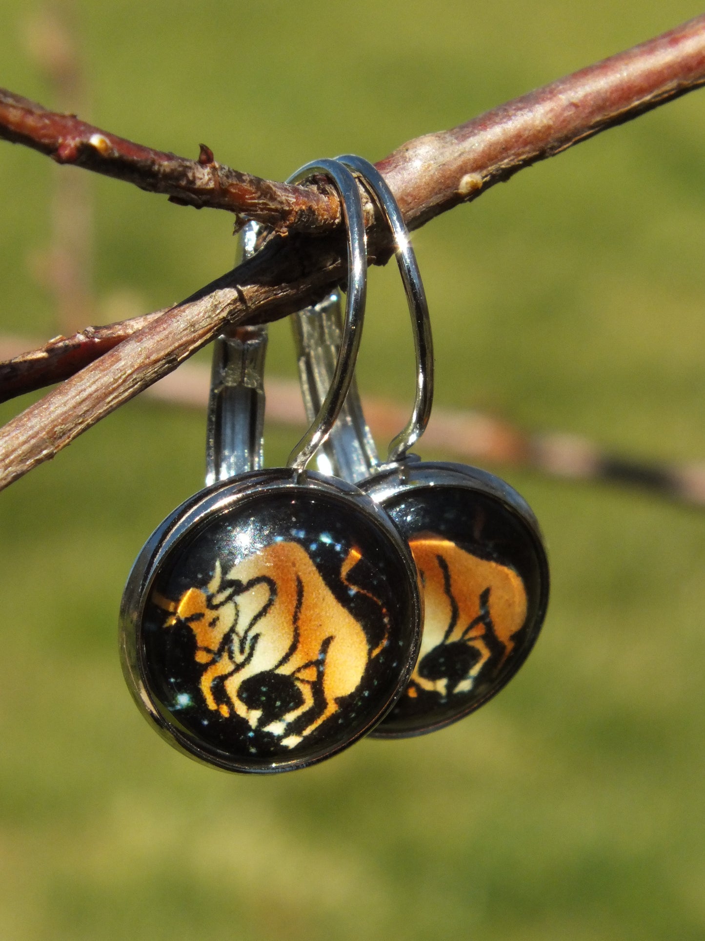 Taurus Cabochon Earrings