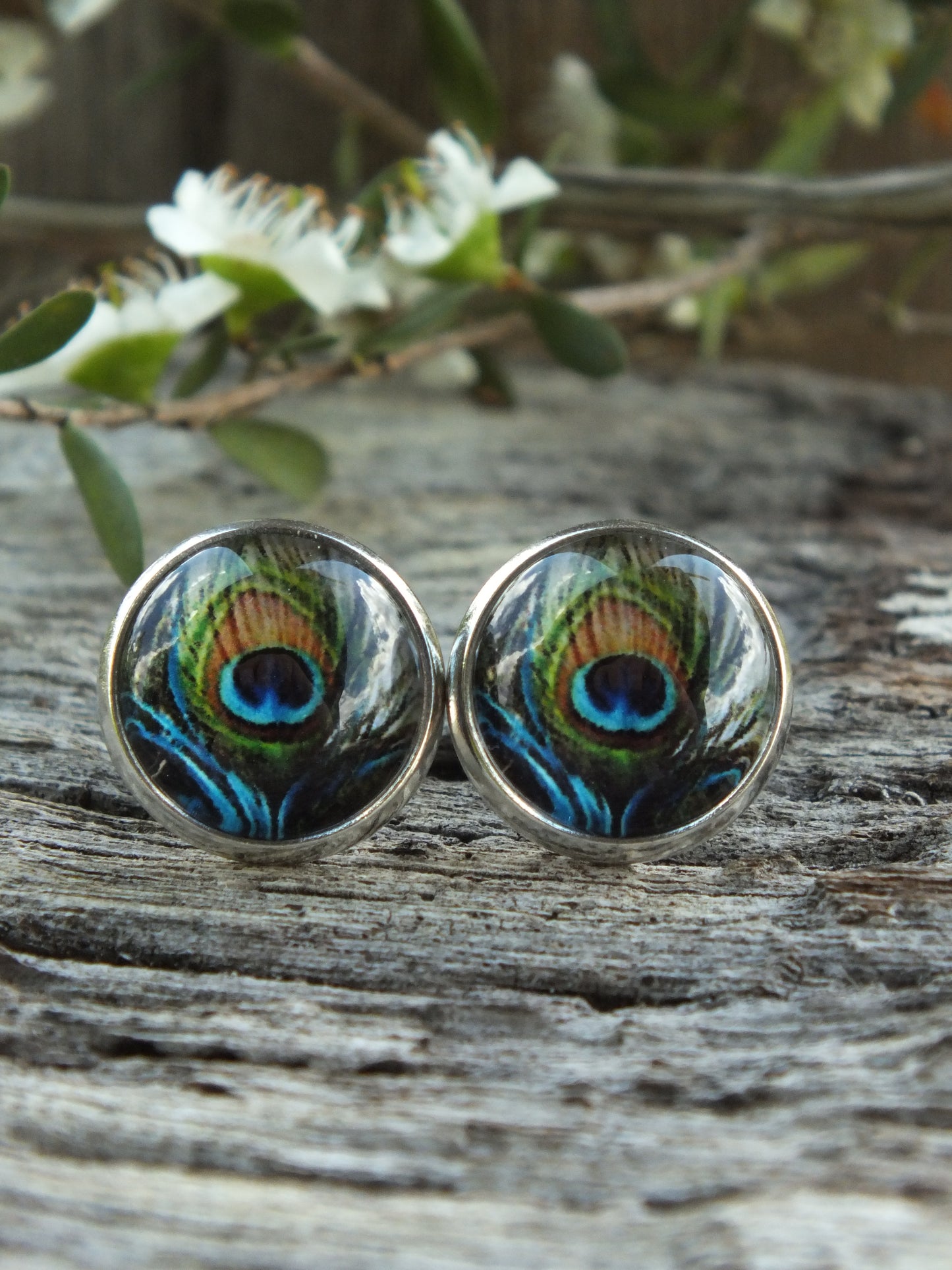 Peacock Cabochon Stud Earrings