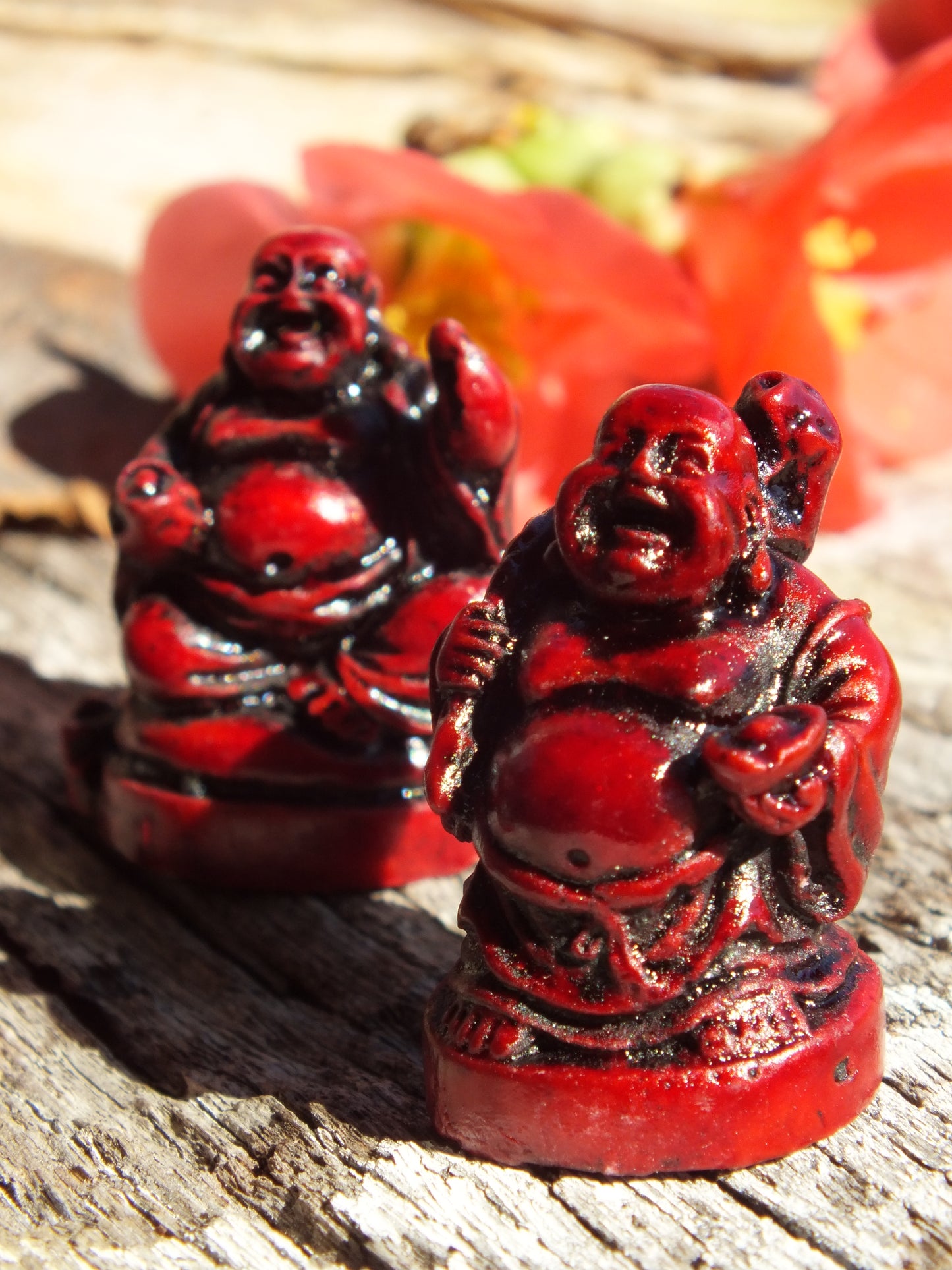 Happy Buddhas Set