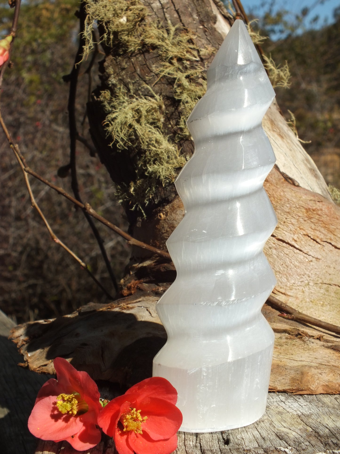 Selenite "Unicorn Horn" Spiral (Large)